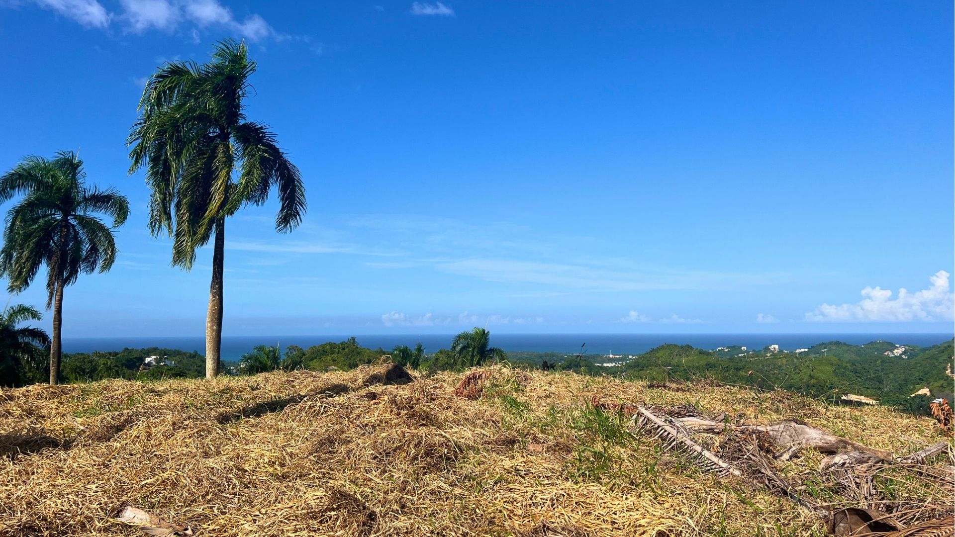 photo of property in dominican republic
