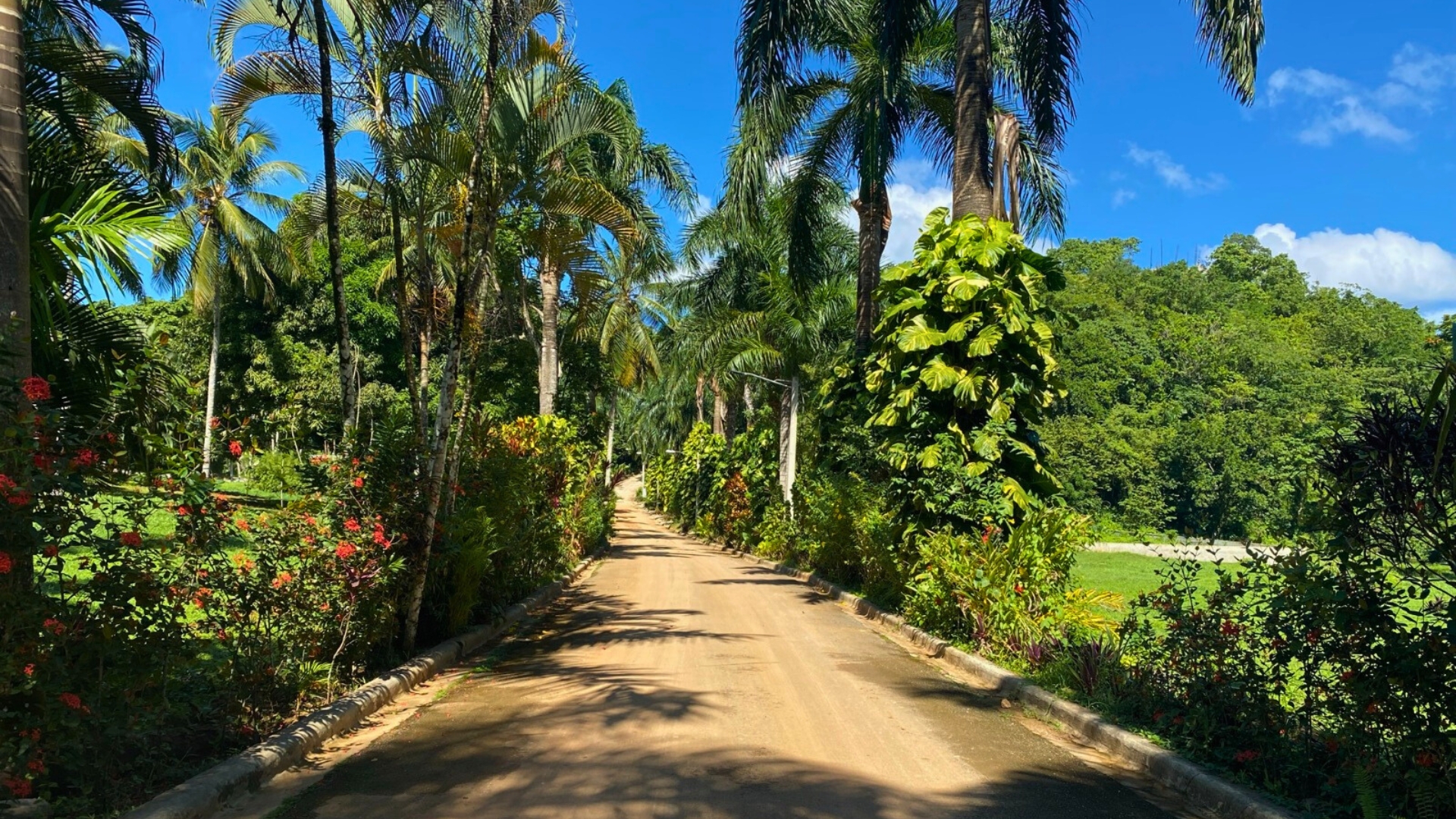 Ready-to-Build Lots with Clubhouse Access – 5 Minutes from Town
