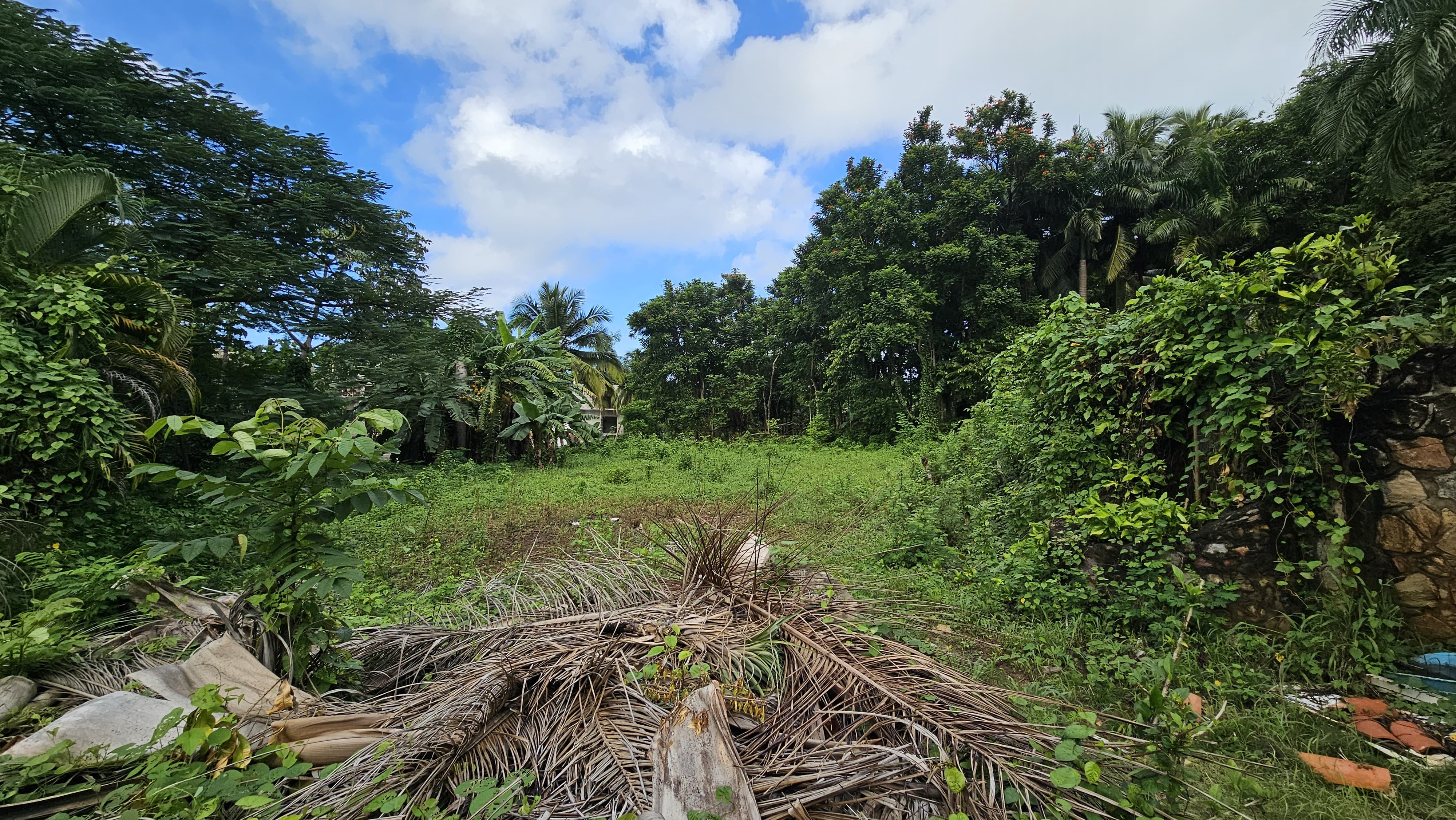 photo of property in dominican republic