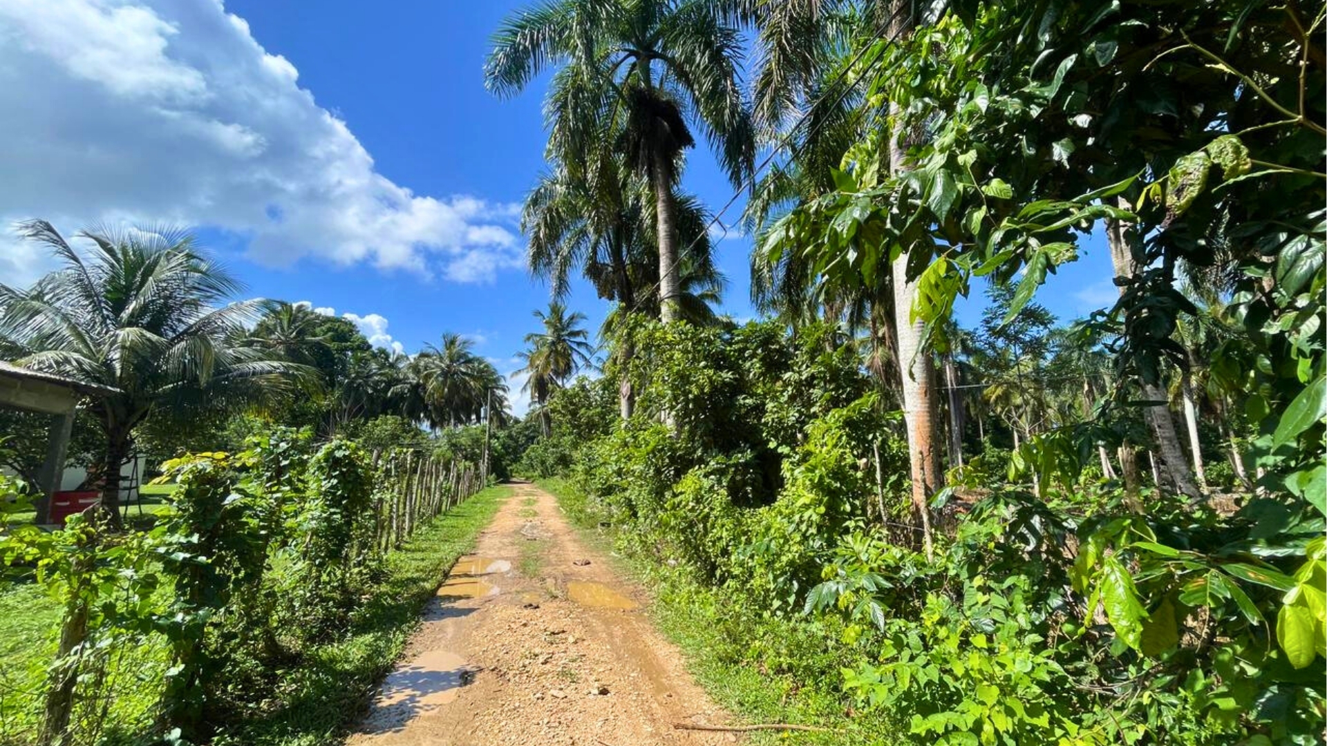 photo of property in dominican republic
