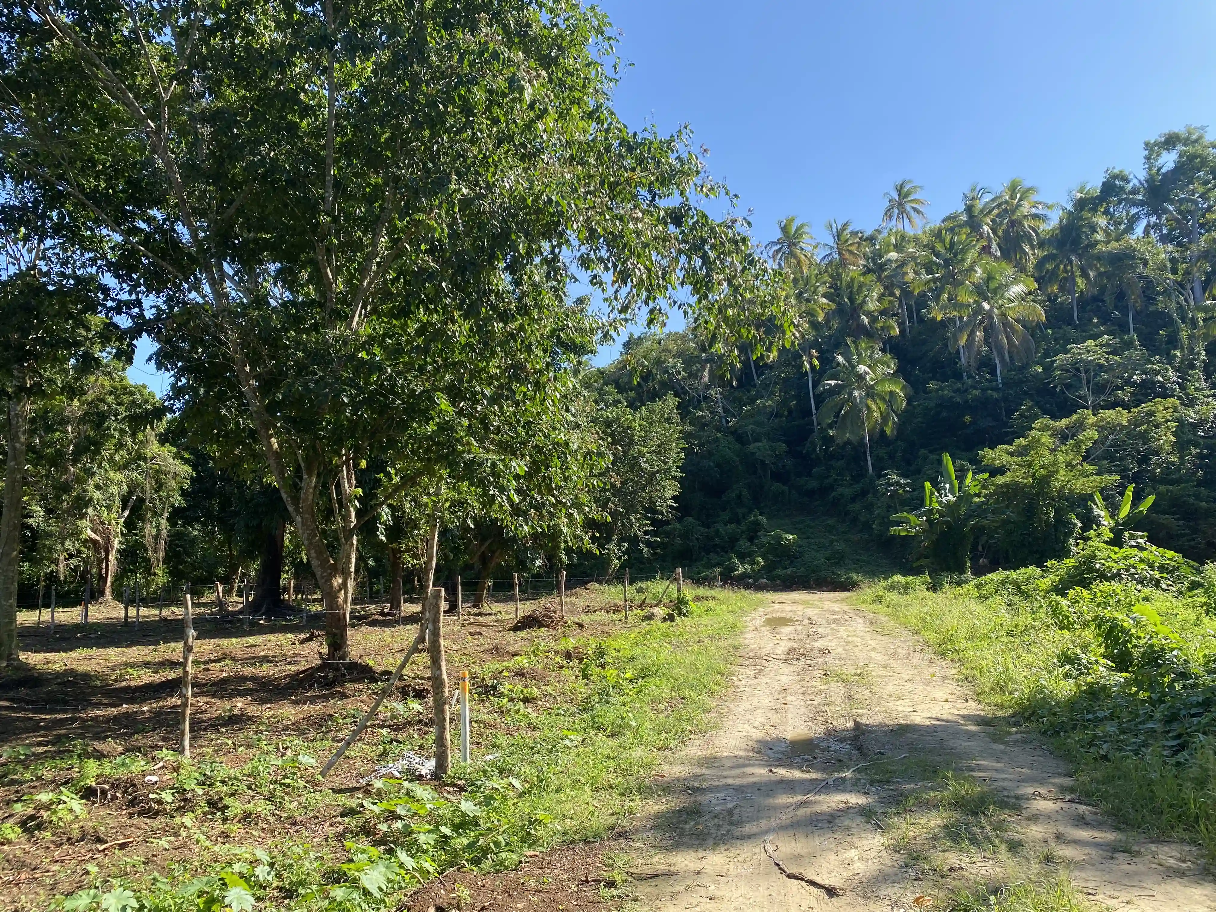 photo of property in dominican republic