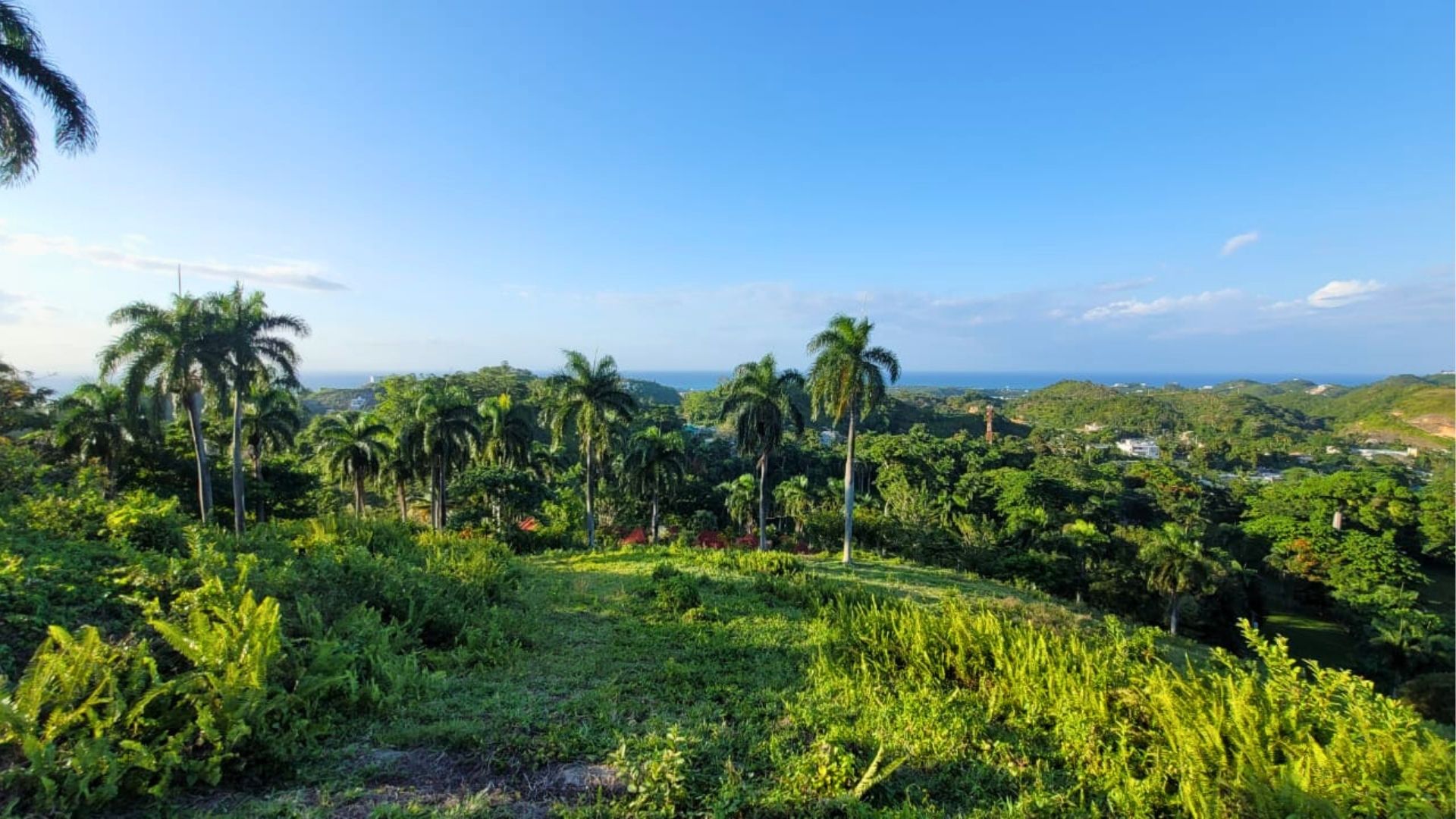 photo of property in dominican republic