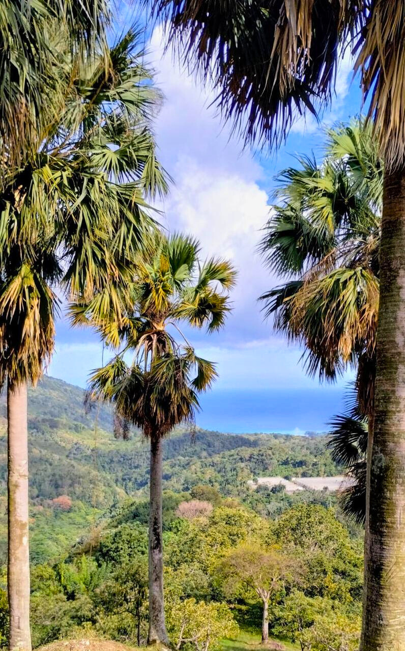 photo of property in dominican republic
