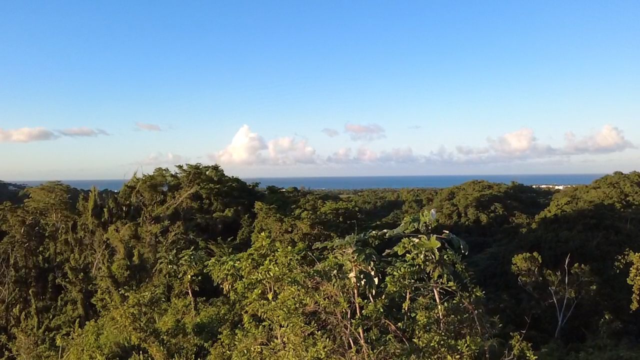 Terrain de 8061 m² avec vue sur l’océan