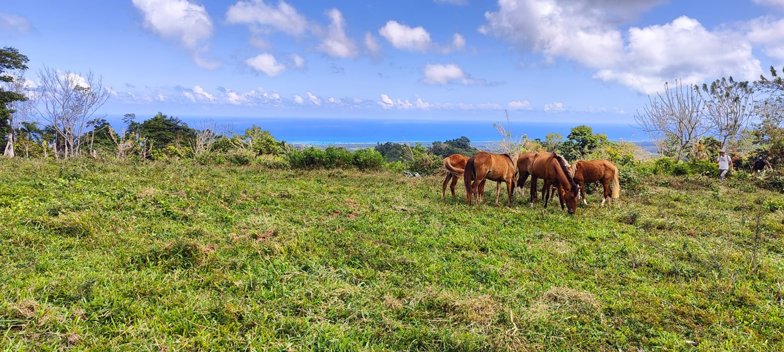 photo of property in dominican republic