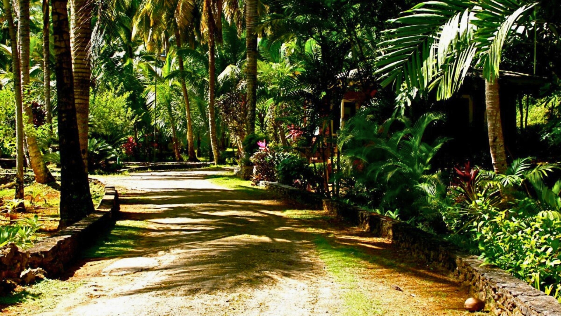Ready-to-Build Lots with Clubhouse Access – 5 Minutes from Town