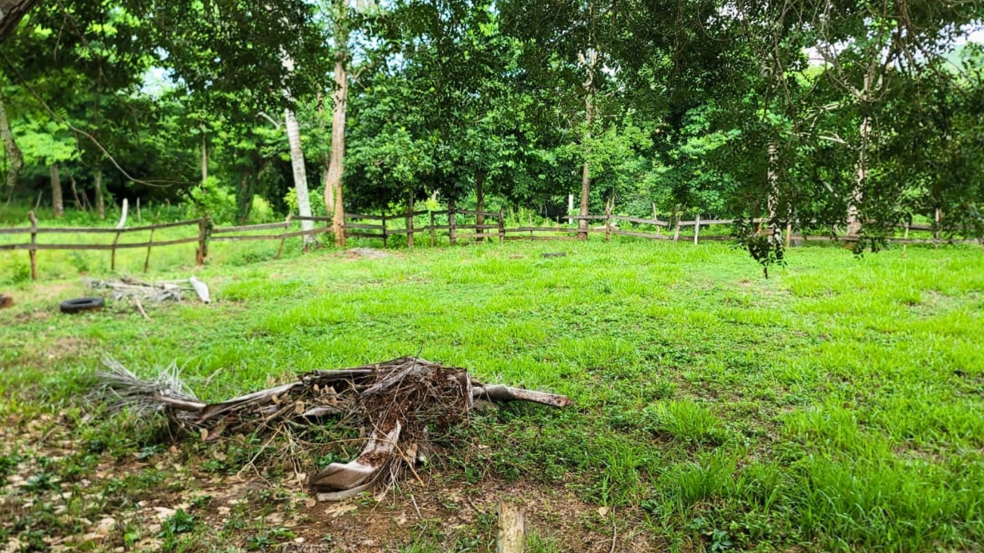 photo of property in dominican republic