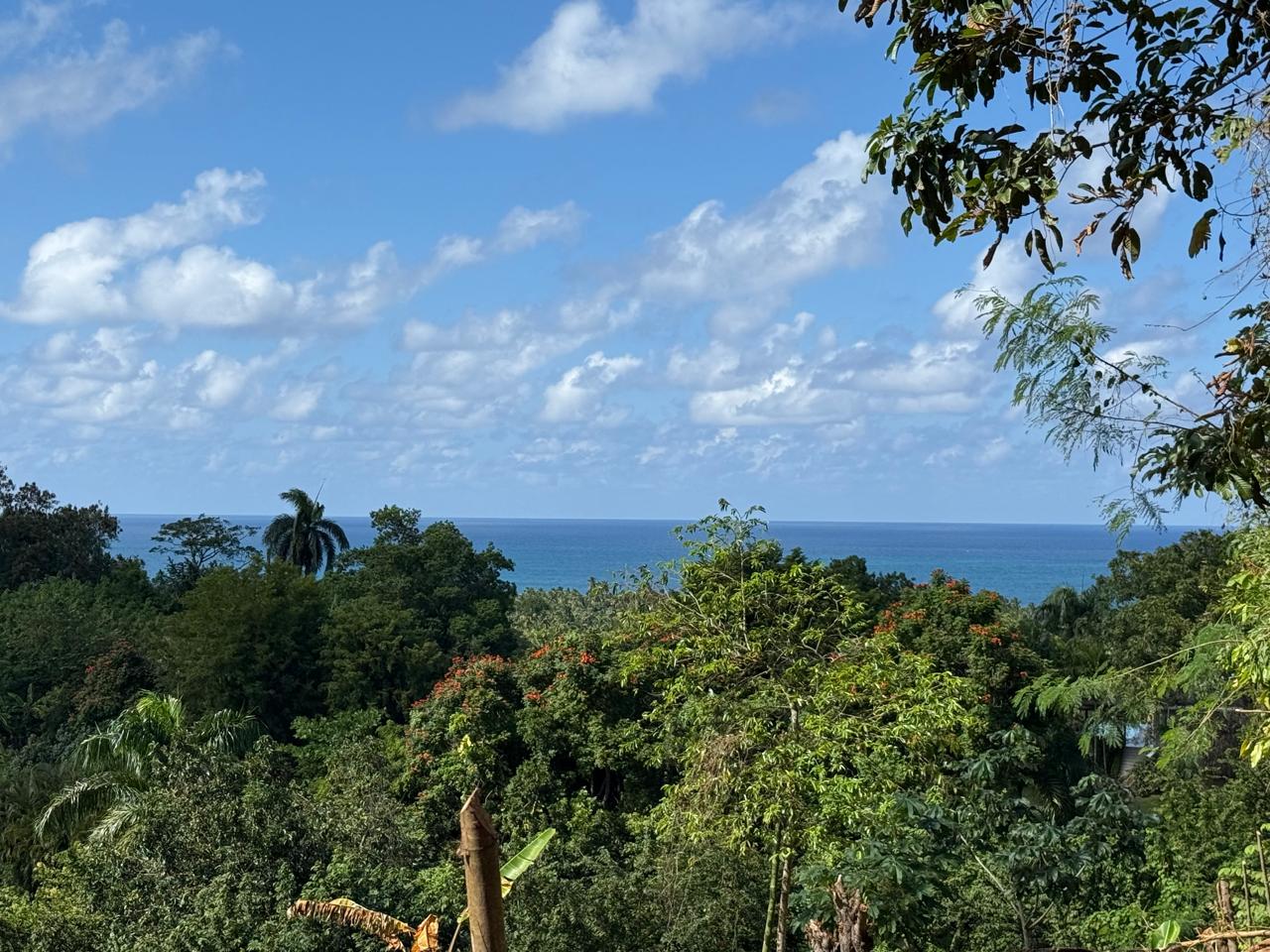 photo of property in dominican republic