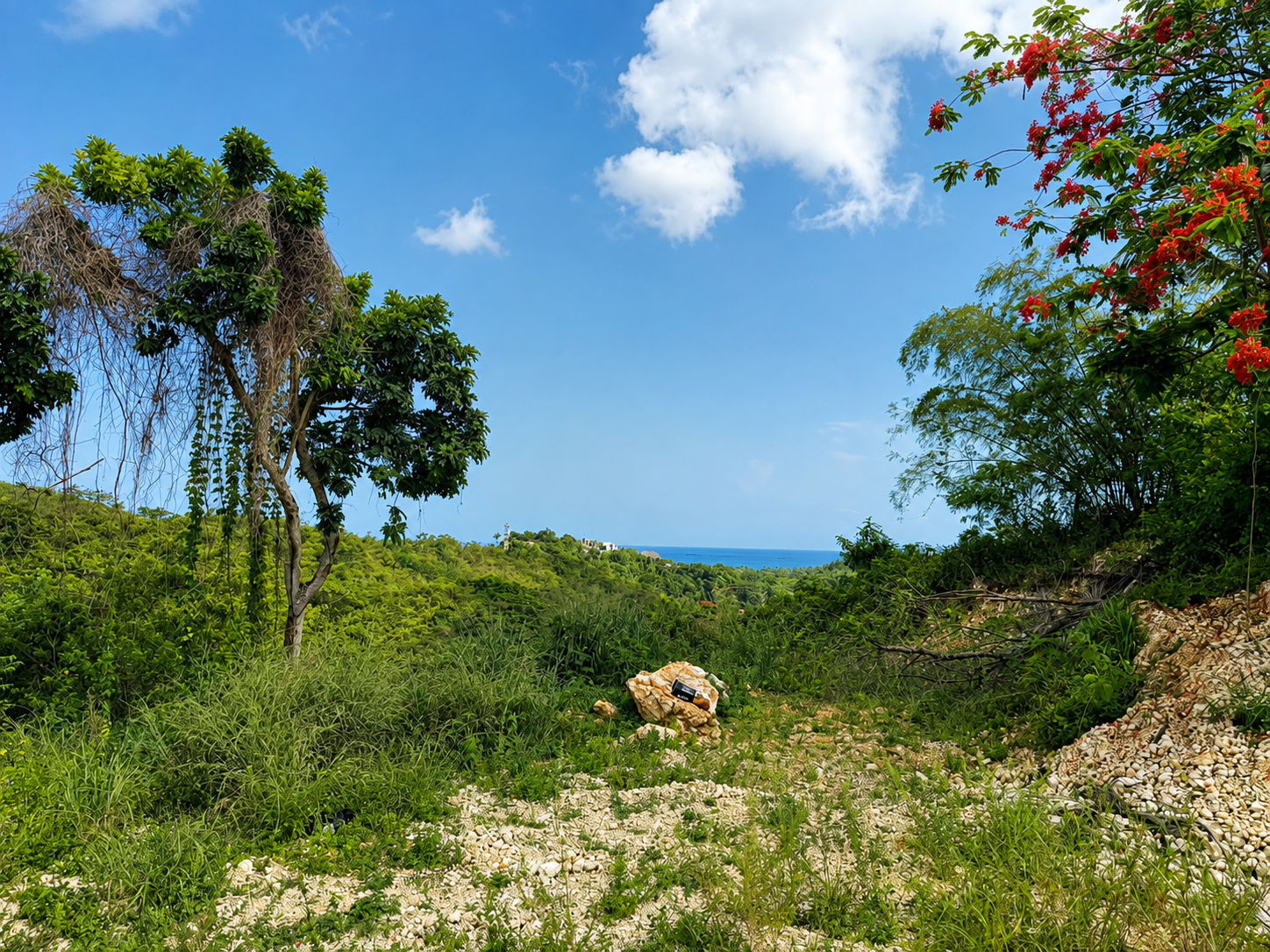 Terrain tropical avec vue partielle sur la mer près de Playa Bonita