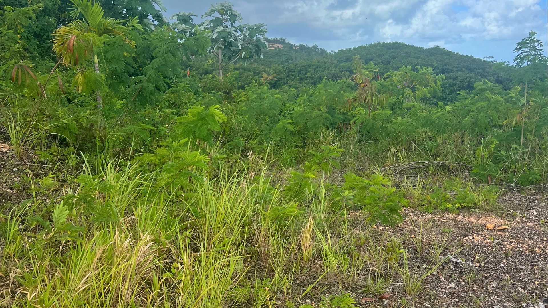 photo of property in dominican republic