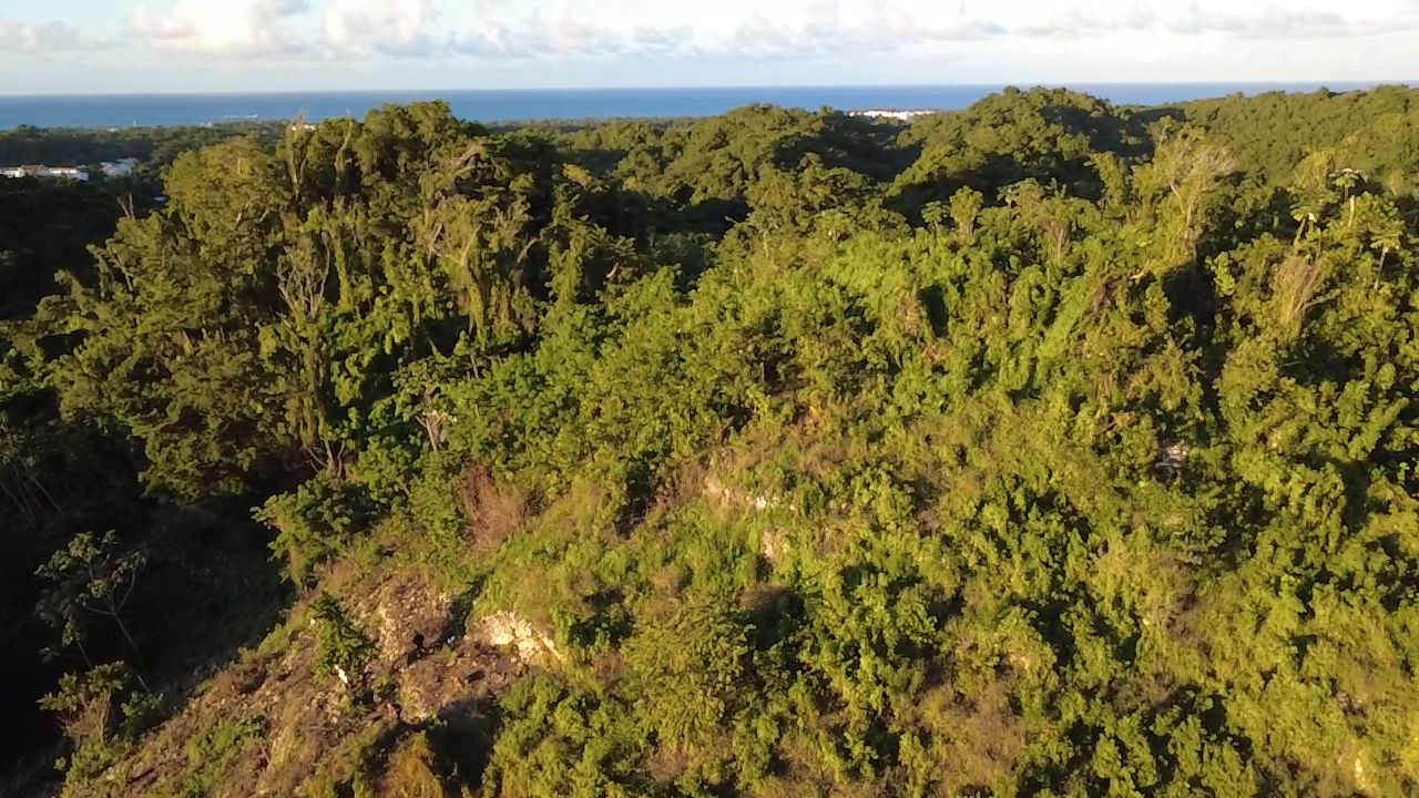 Terrain de 8061 m² avec vue sur l’océan