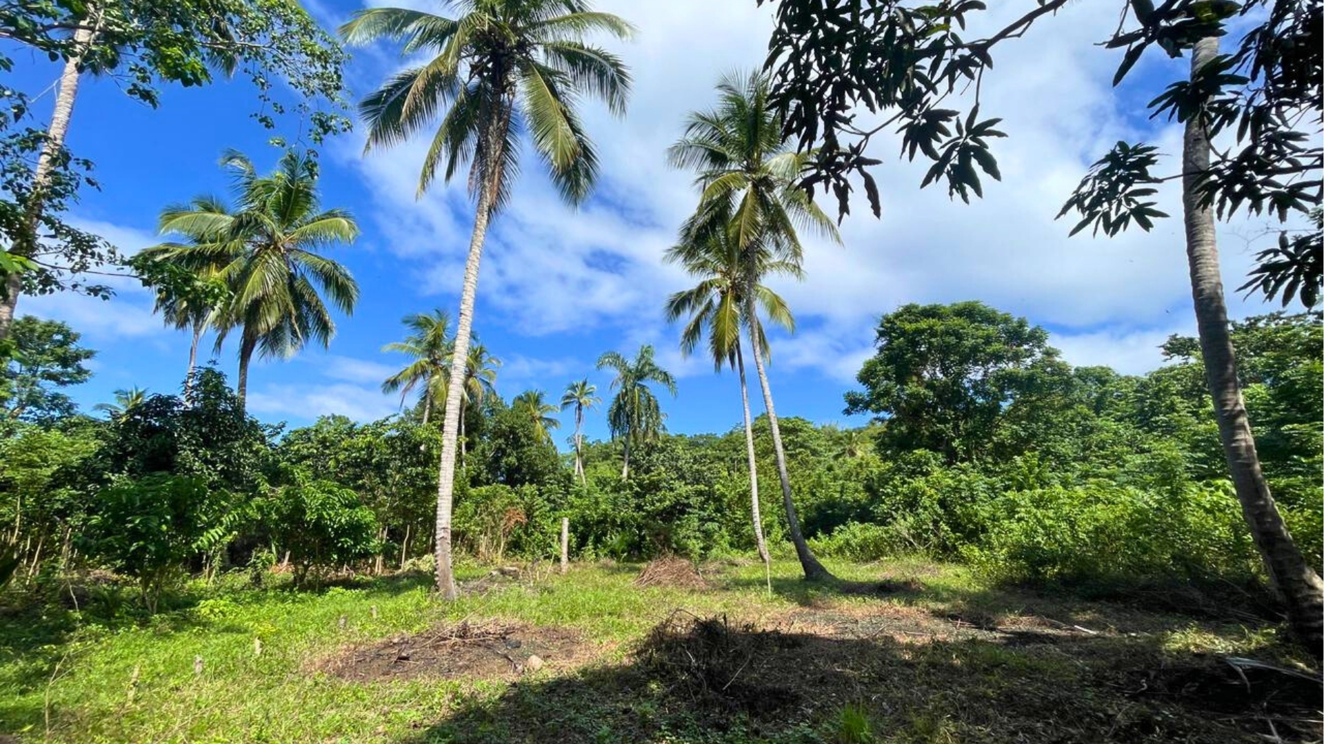 photo of property in dominican republic