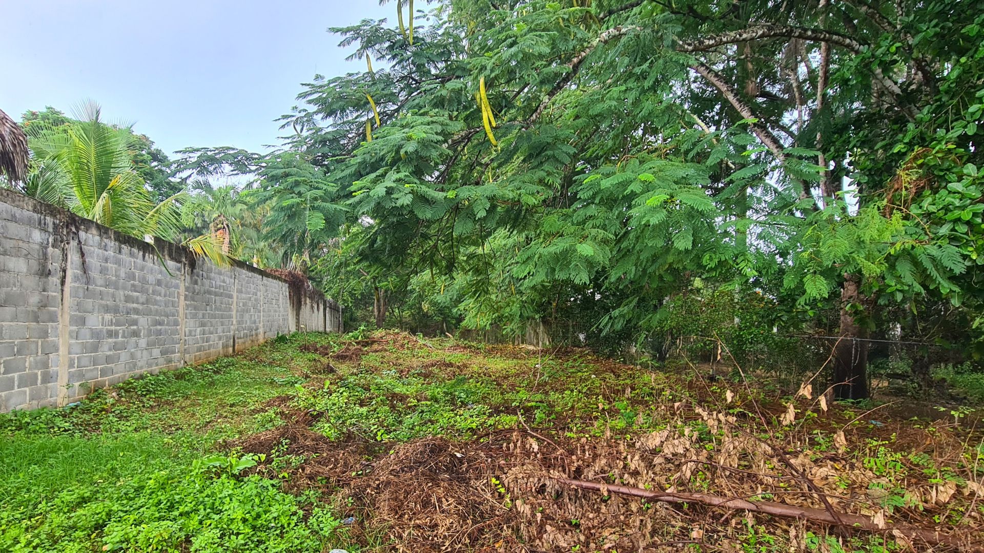 photo of property in dominican republic