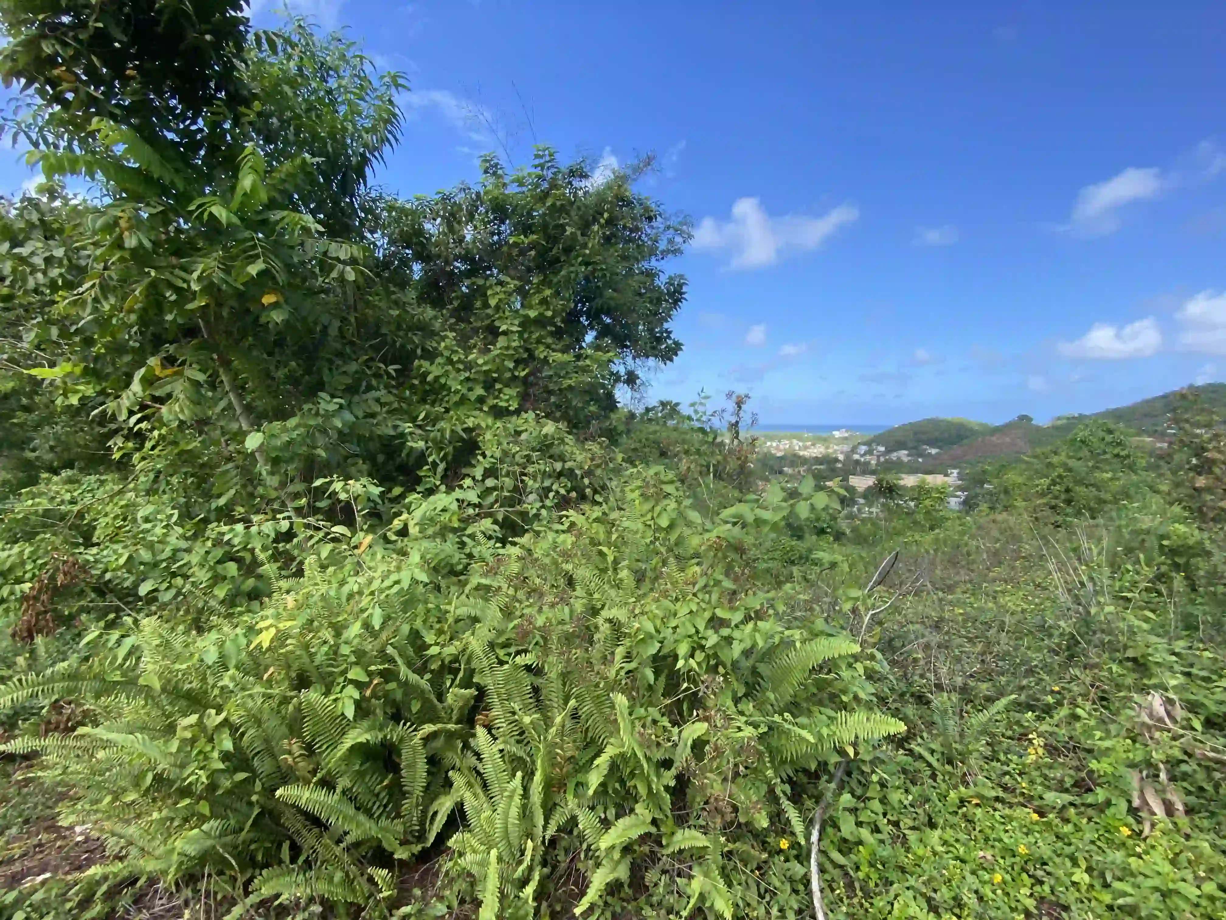 photo of property in dominican republic