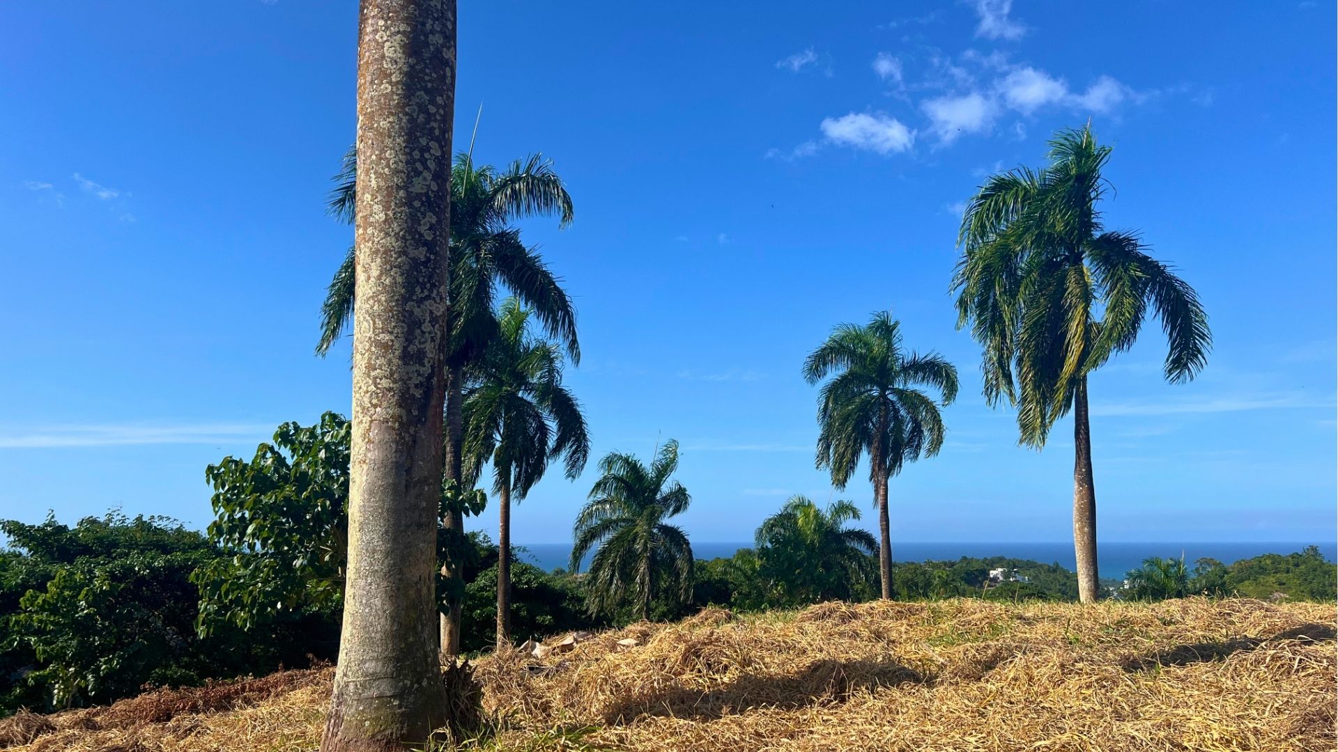 photo of property in dominican republic
