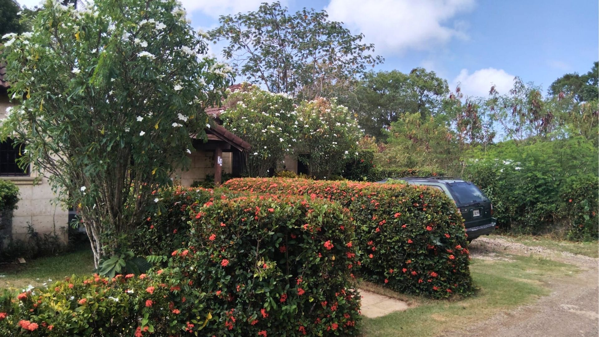 photo of property in dominican republic