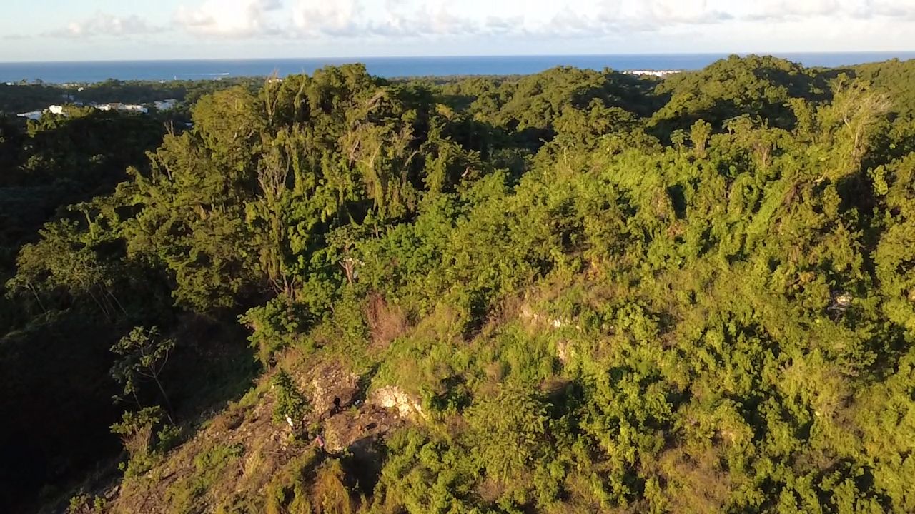Terrain de 8061 m² avec vue sur l’océan