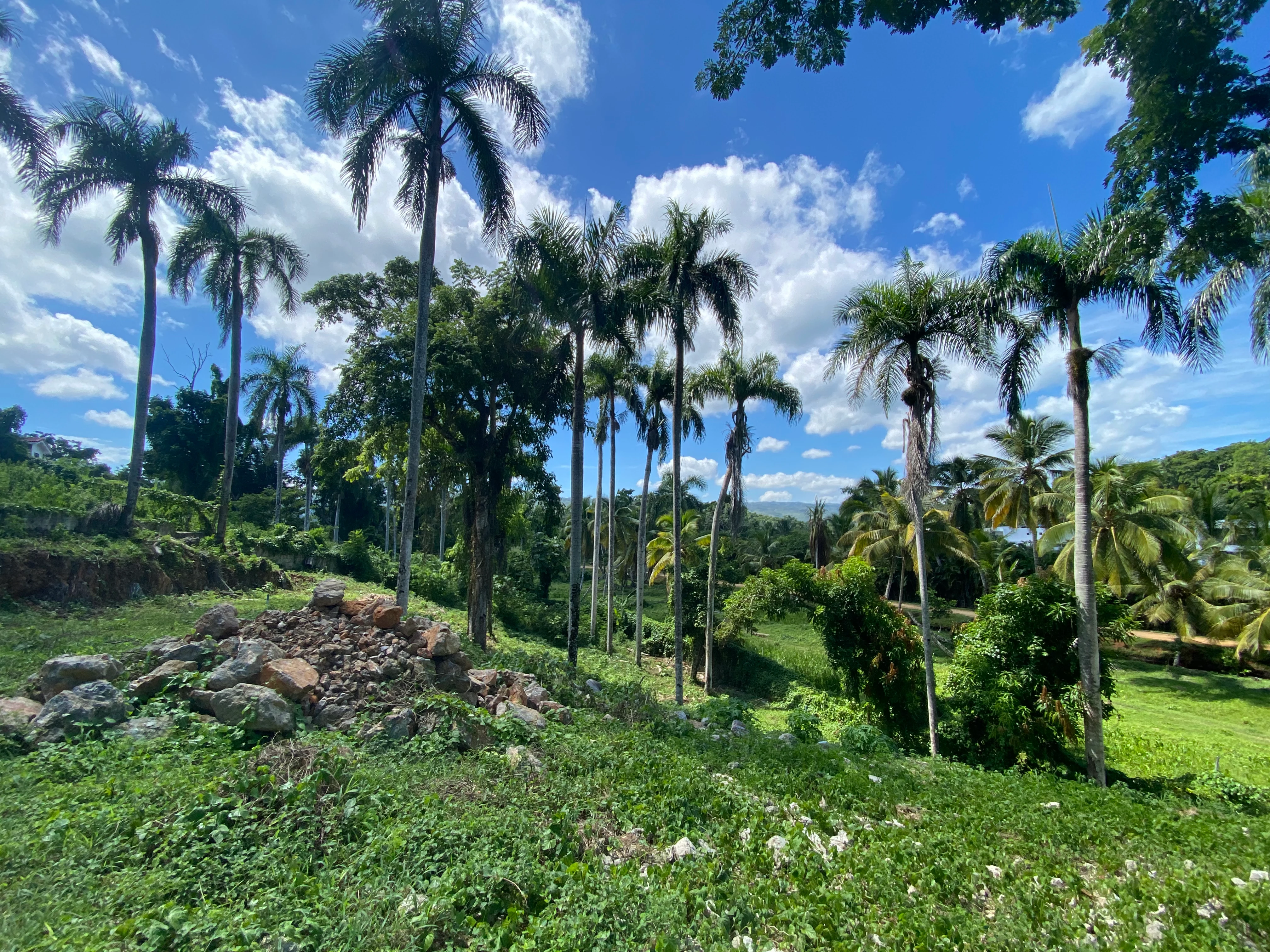 Building lots in an exclusive location in Las Ballenas 