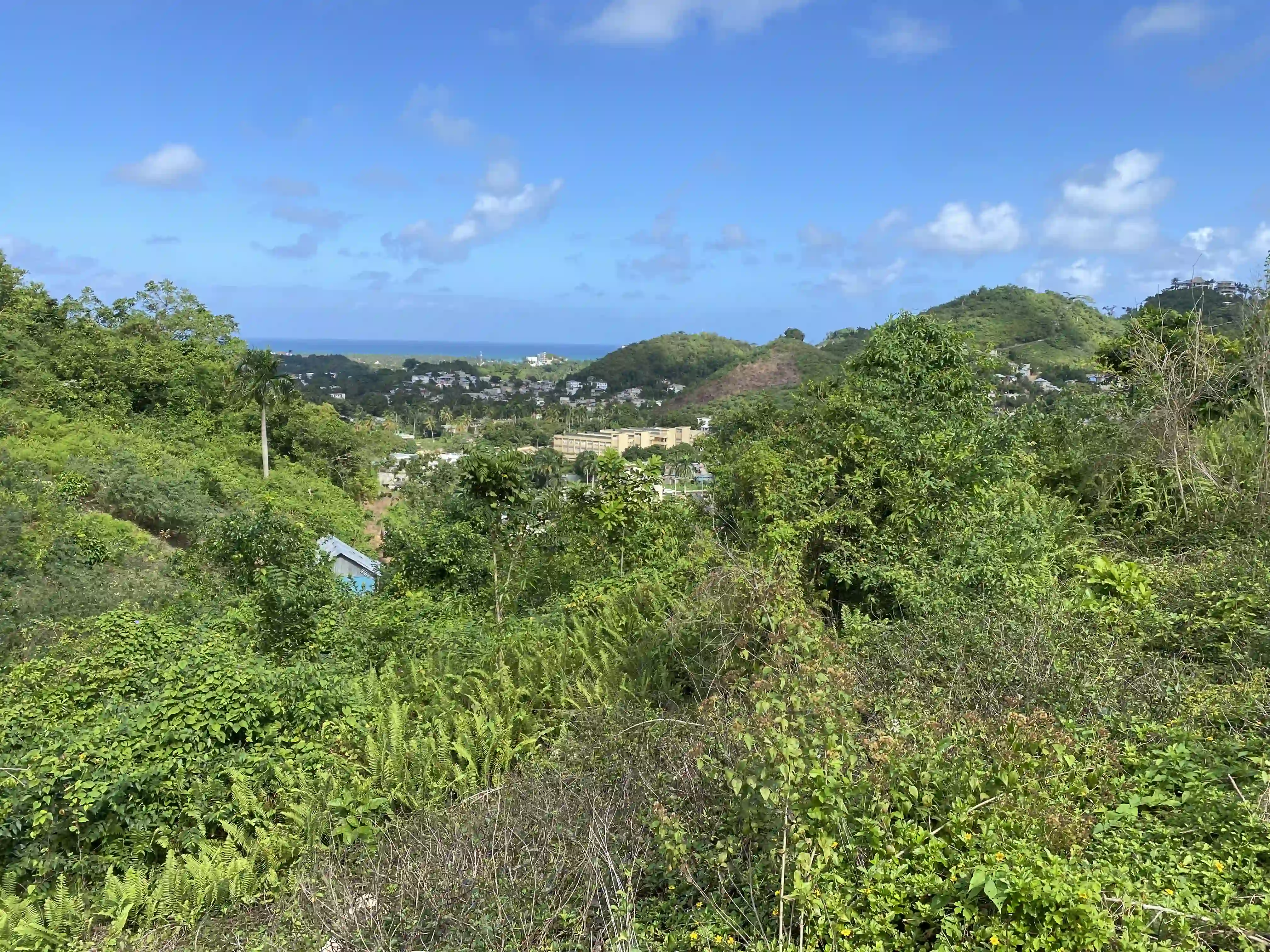 Terrains avec vue sur l’océan sur une colline dans un quartier tranquille de la ville