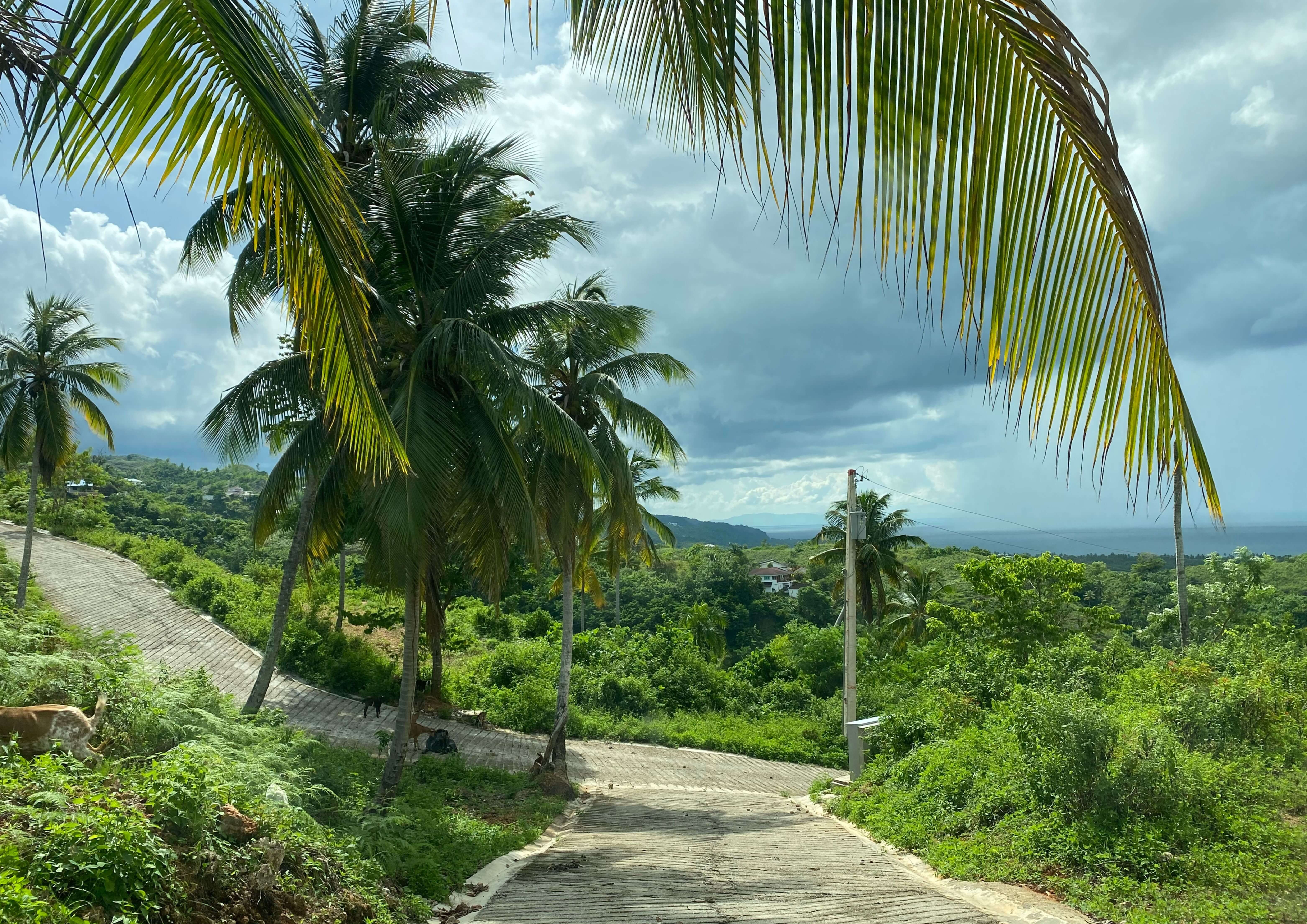 photo of property in dominican republic
