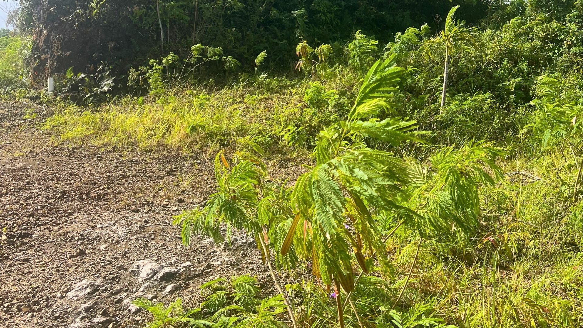 photo of property in dominican republic