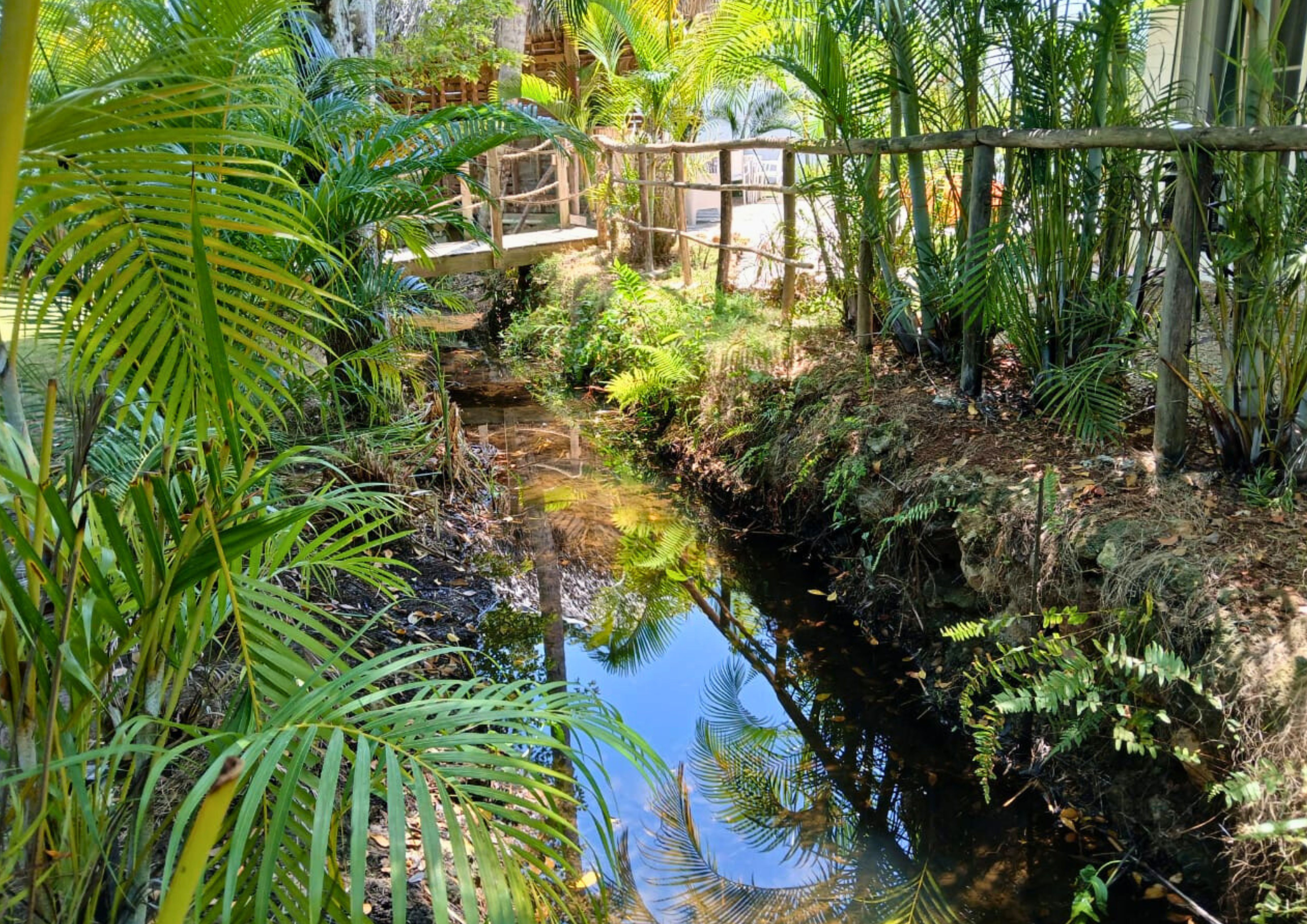photo of property in dominican republic