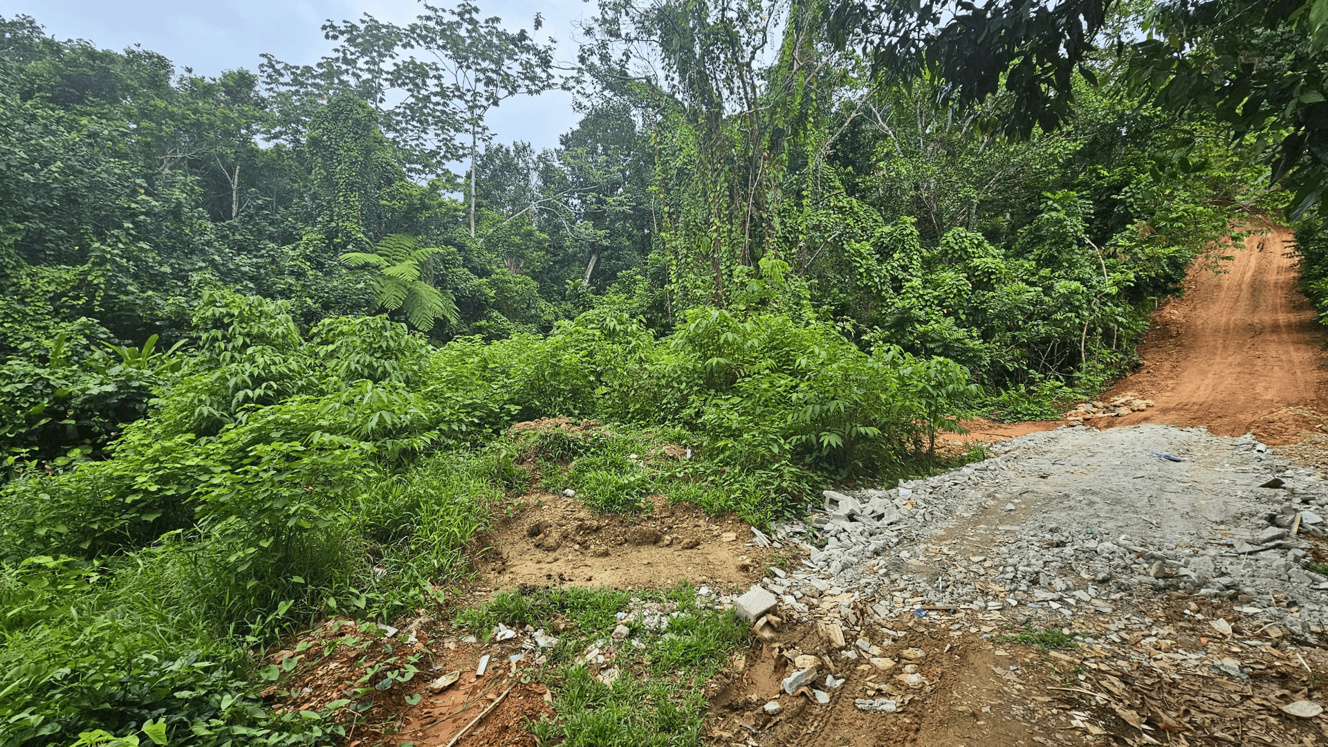 Amplio terreno de 5,000 m² con vistas a la selva cerca de Las Terrenas