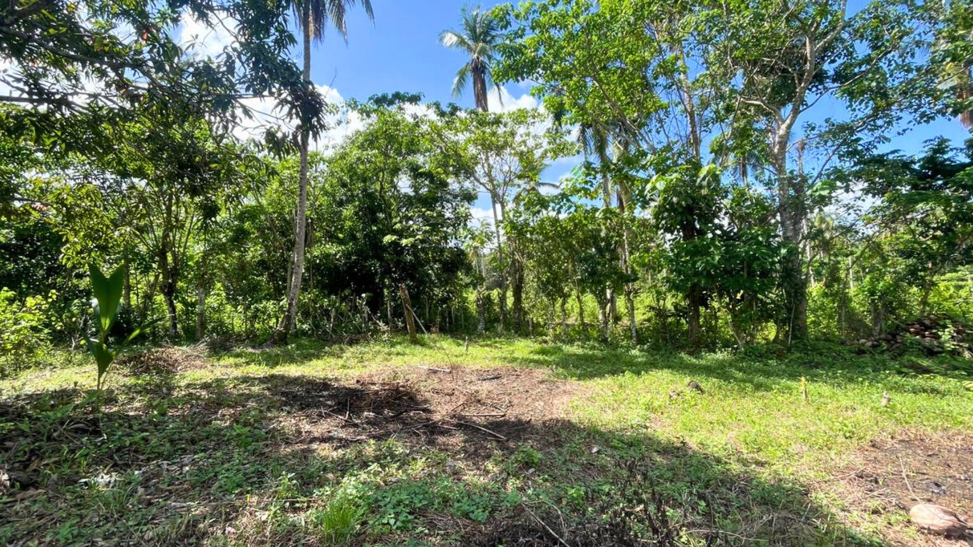 photo of property in dominican republic