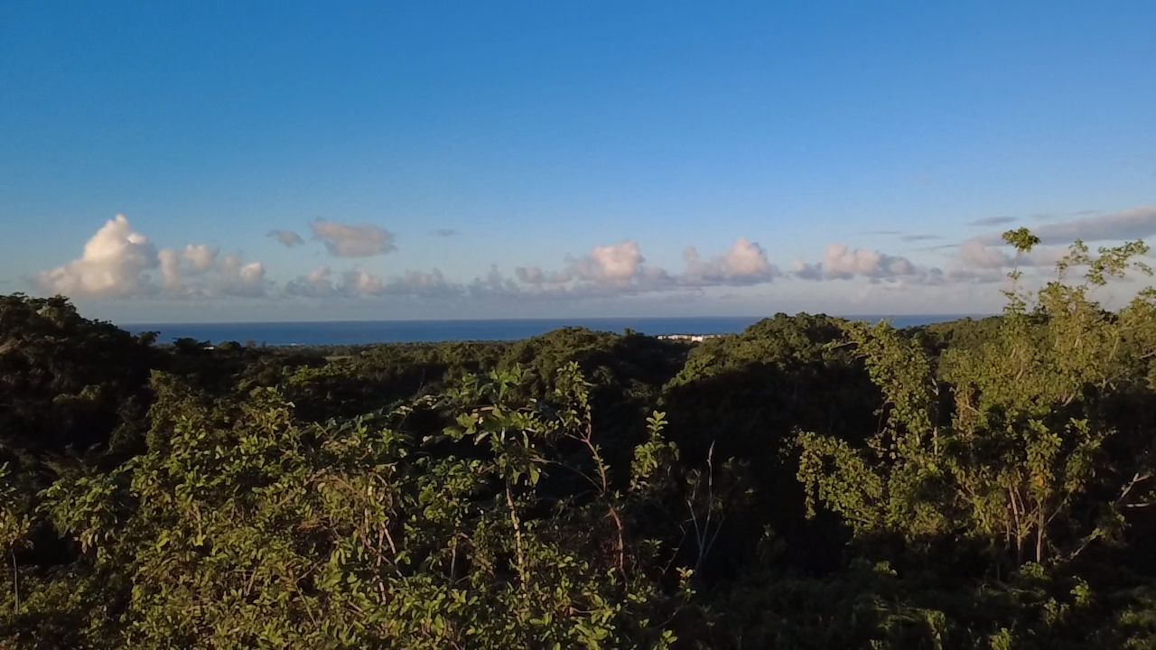 Terrain de 8061 m² avec vue sur l’océan