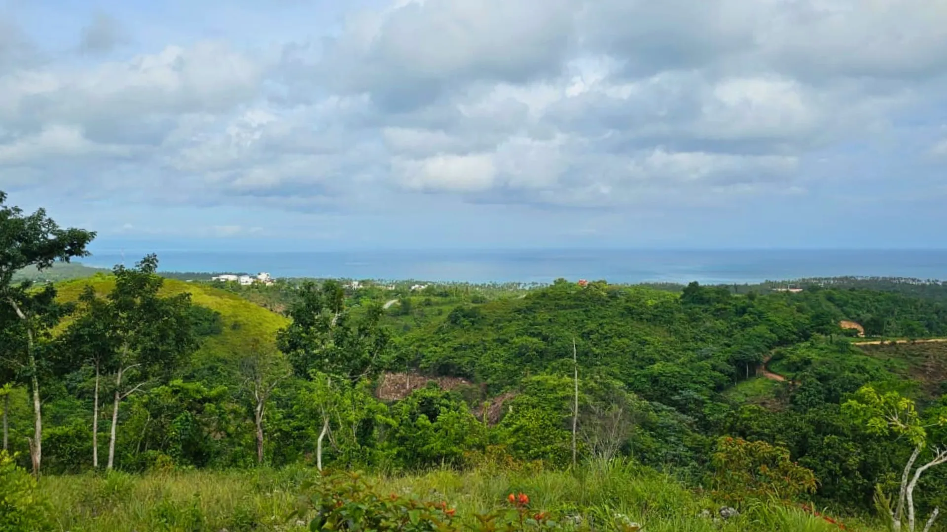 Terrenos con vistas al mar en venta, en la colina detrás de La Ceiba