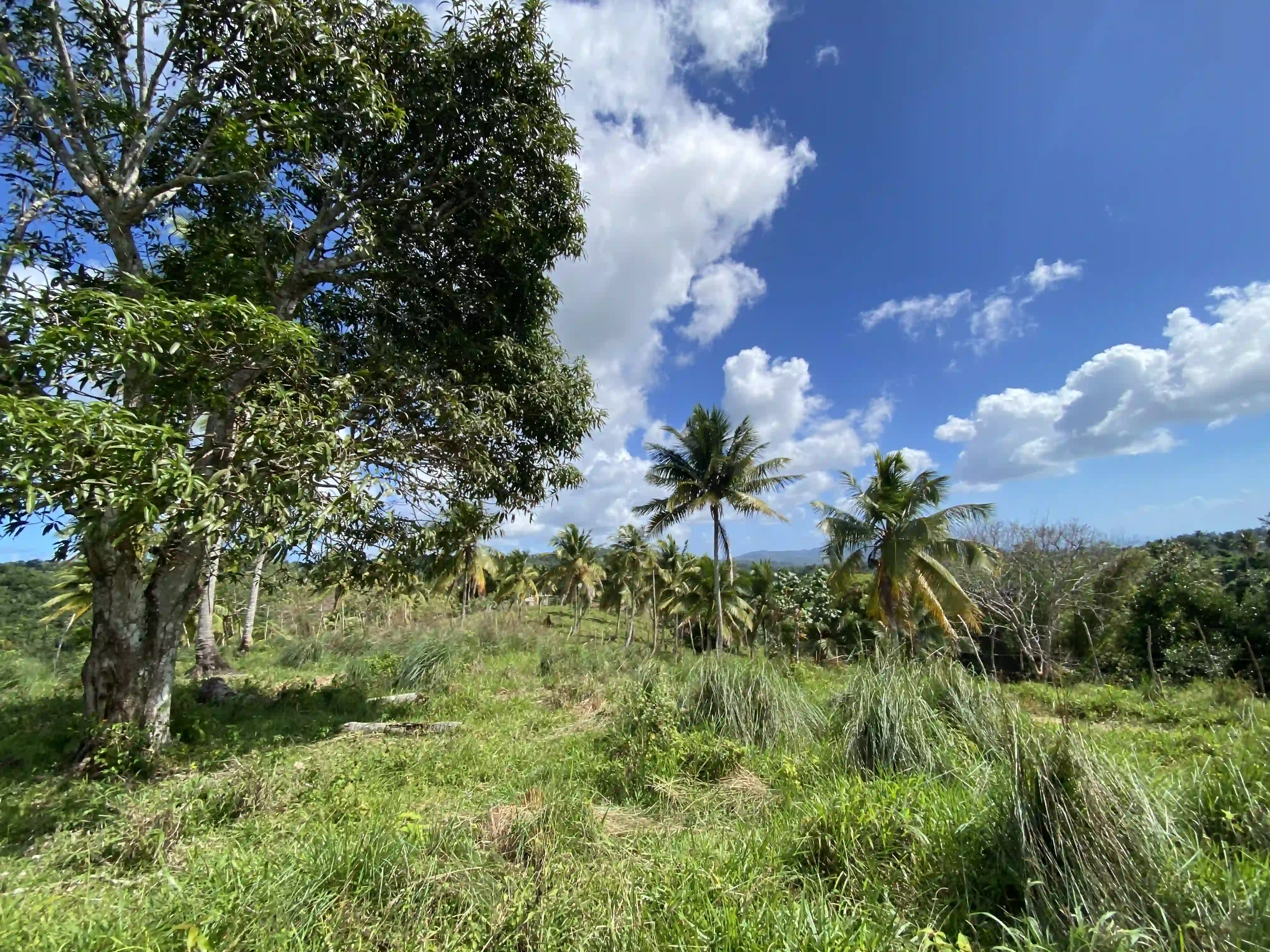 photo of property in dominican republic