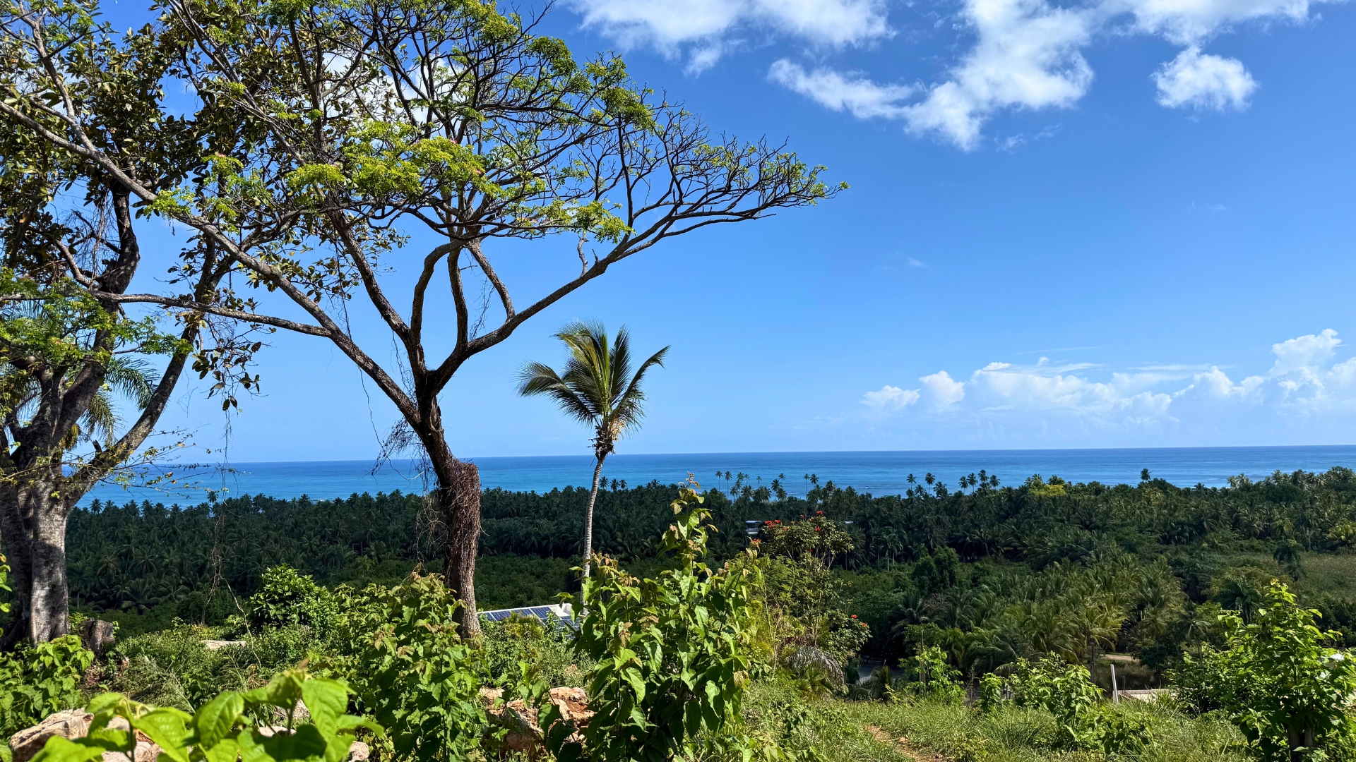 Rare Ocean View Lots in Luxury Gated Community in El Portillo