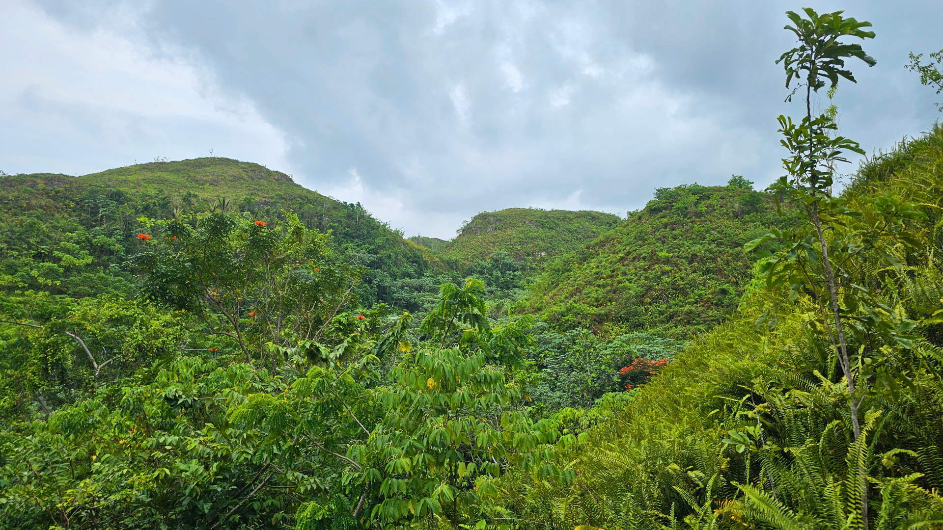 Terrain de 190,000m² avec vue sur l’océan à Las Terrenas, une immense opportunité de développement