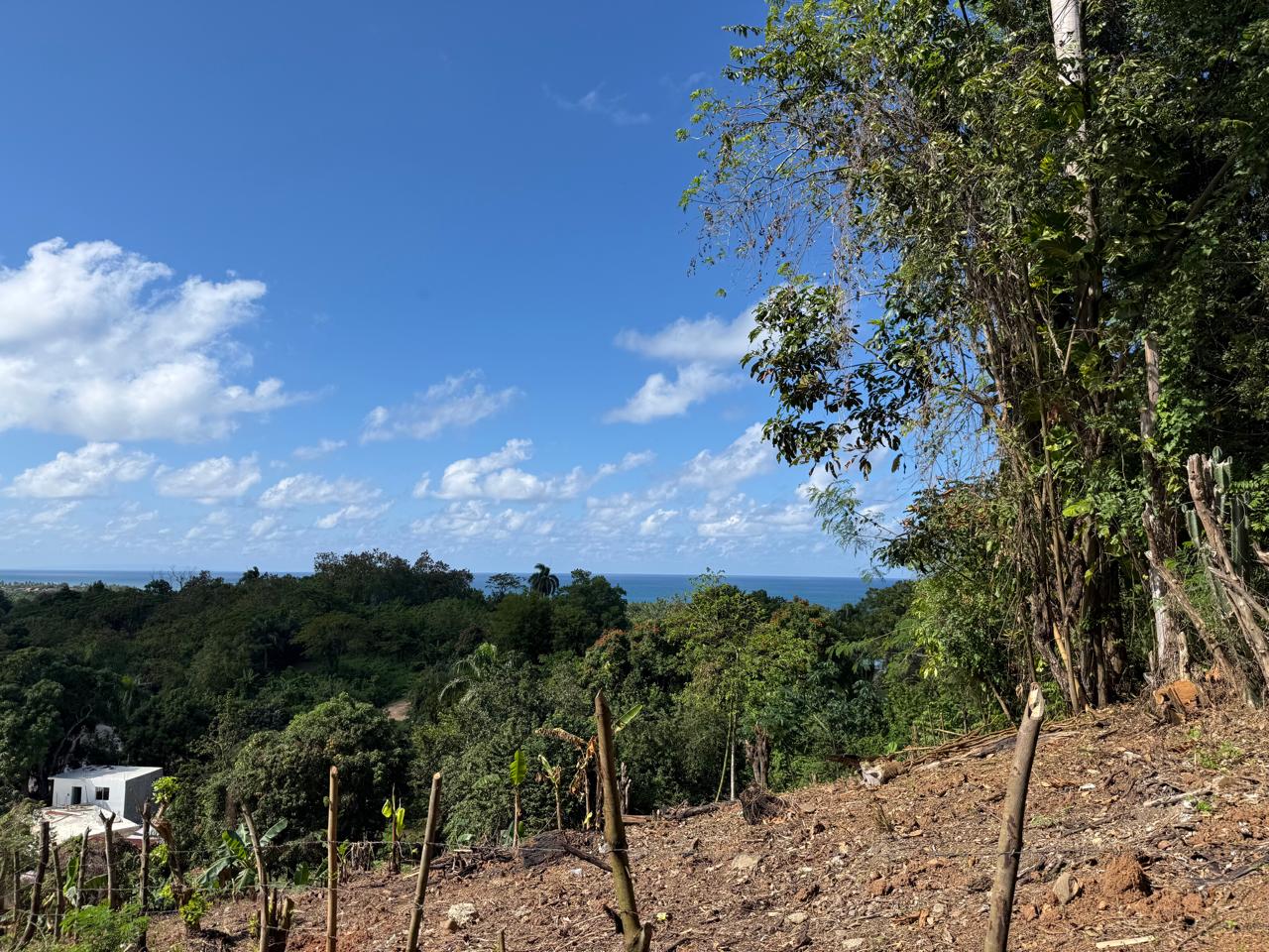 photo of property in dominican republic