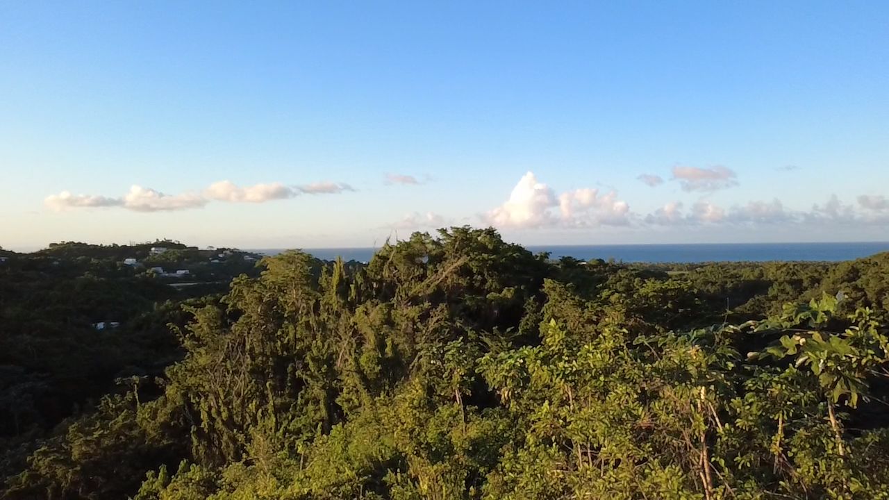 Terrain de 8061 m² avec vue sur l’océan