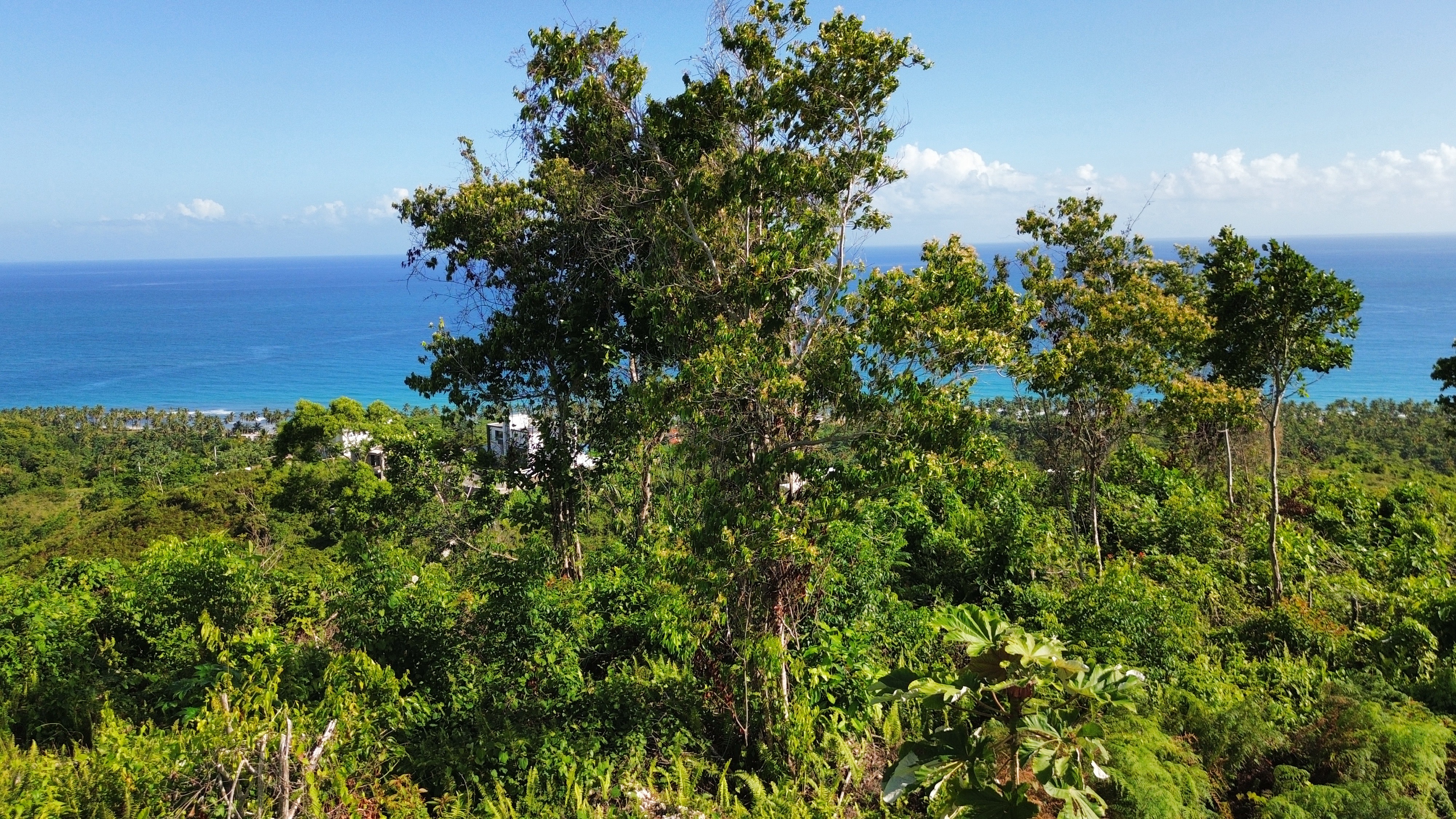photo of property in dominican republic