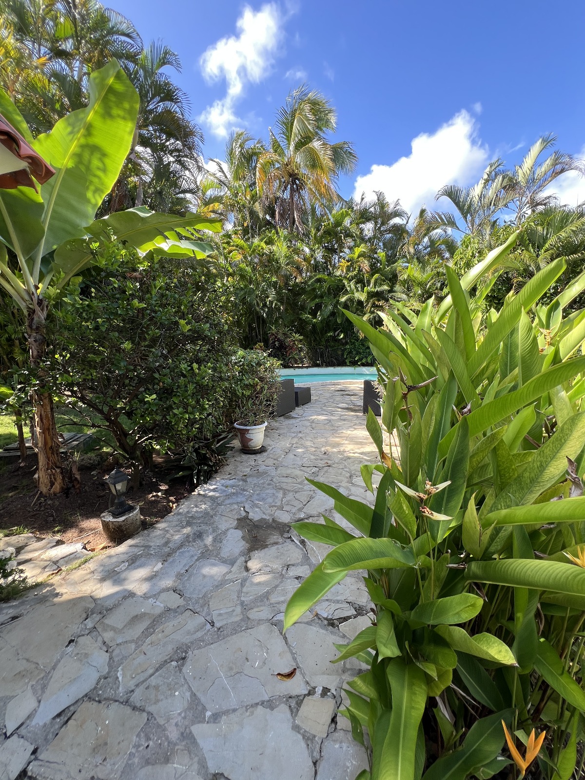 photo of property in dominican republic