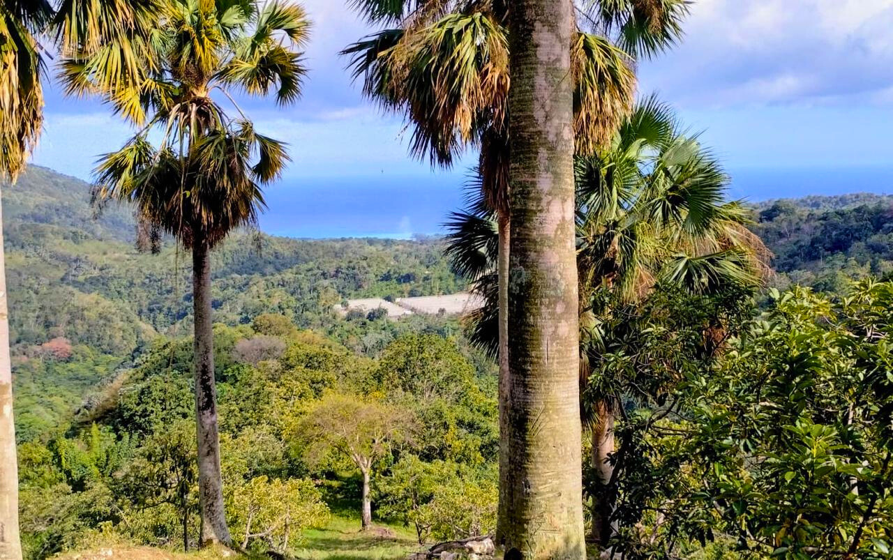 photo of property in dominican republic