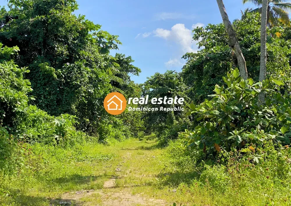 photo of property in dominican republic