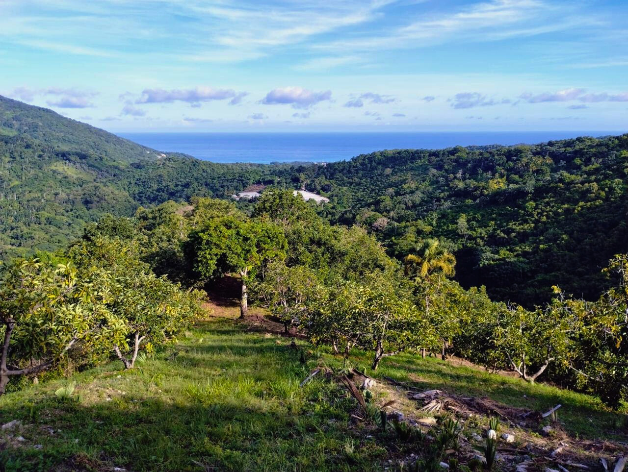 photo of property in dominican republic
