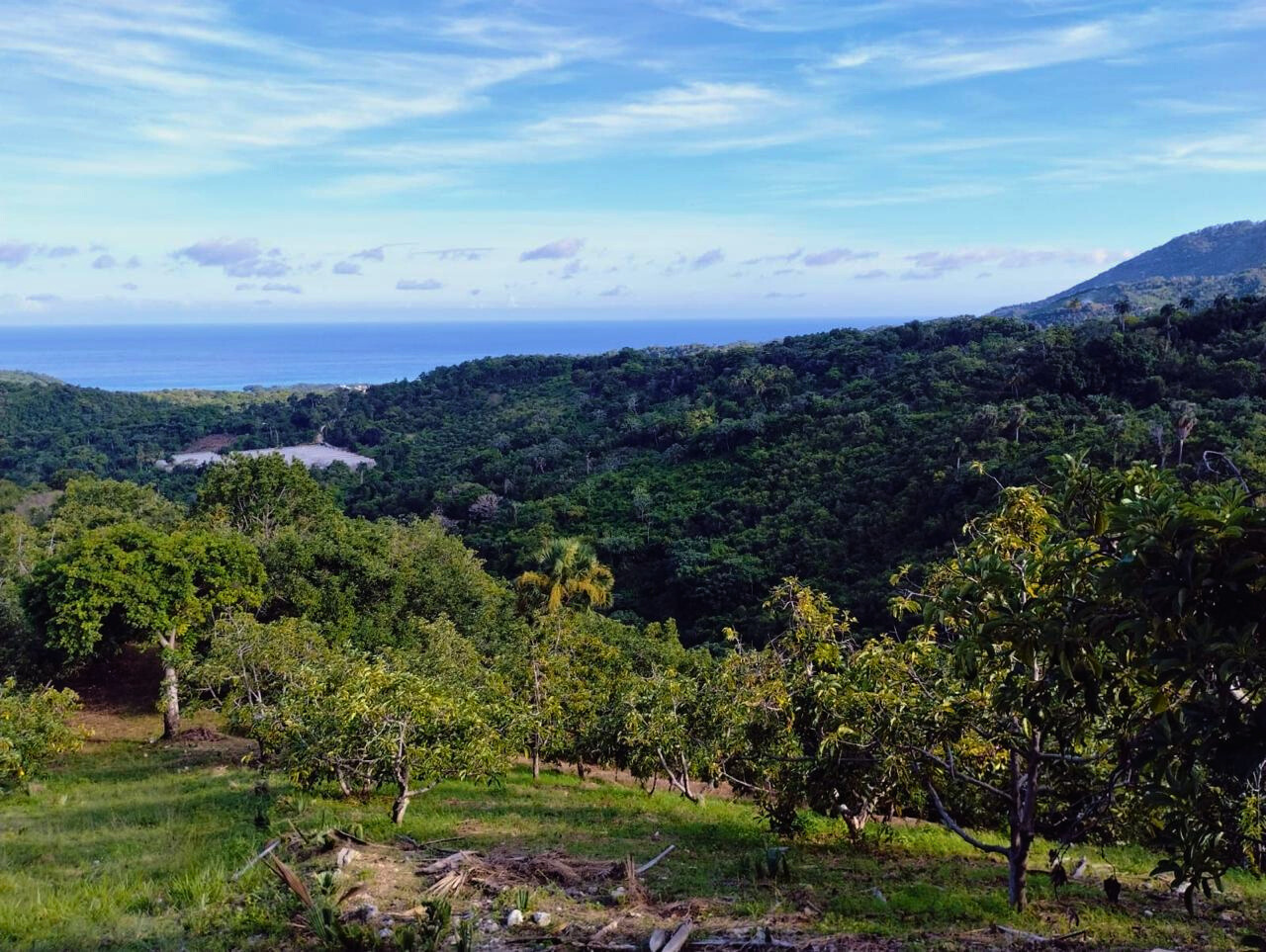 photo of property in dominican republic