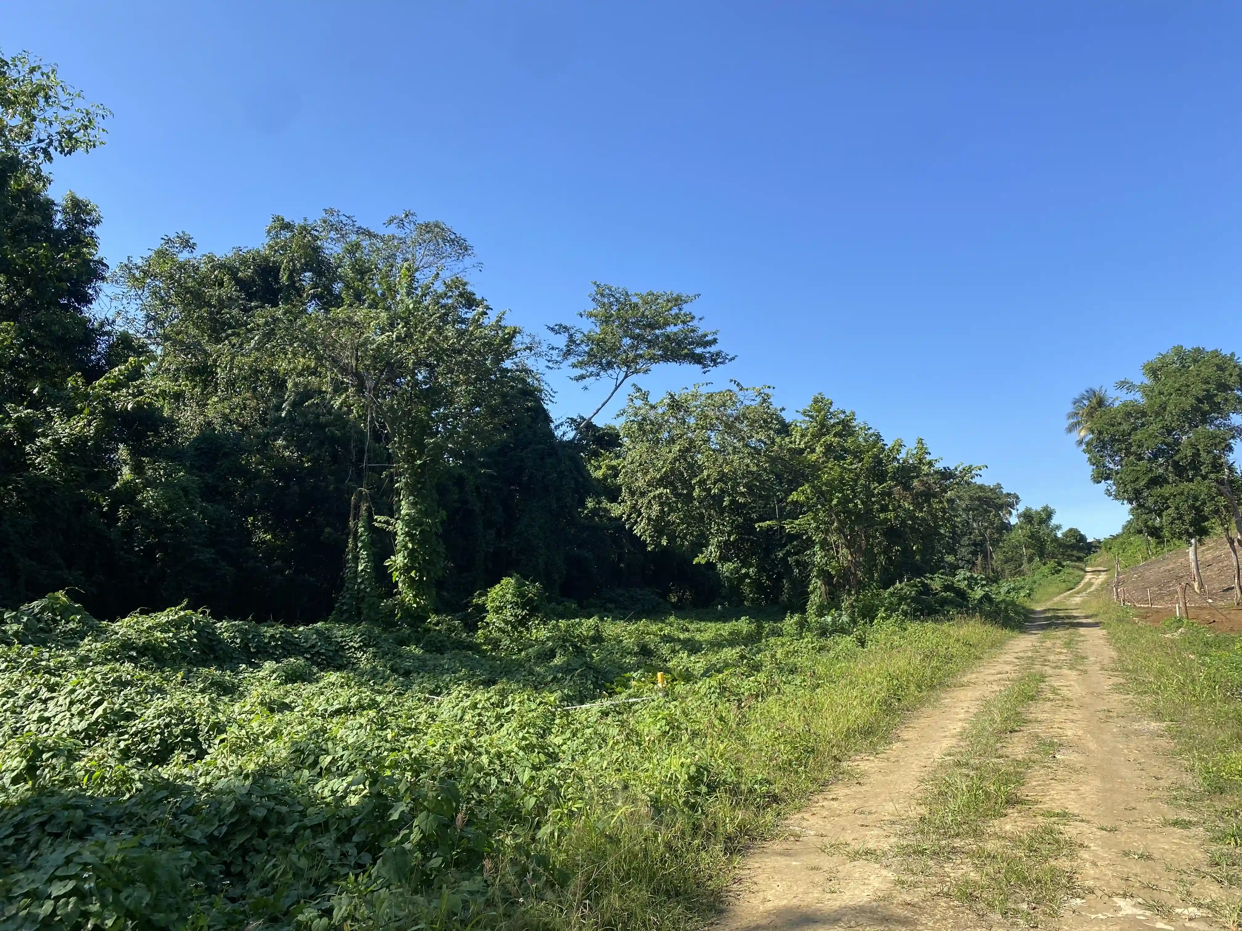 photo of property in dominican republic