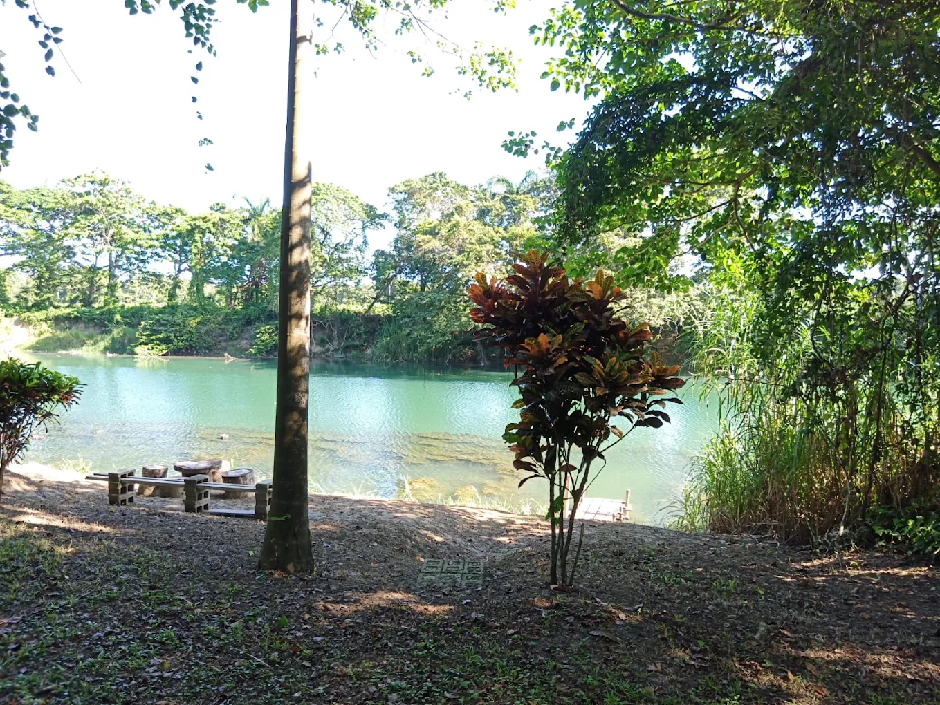 Rustic Wooden Cabin for Sale in Sabanete