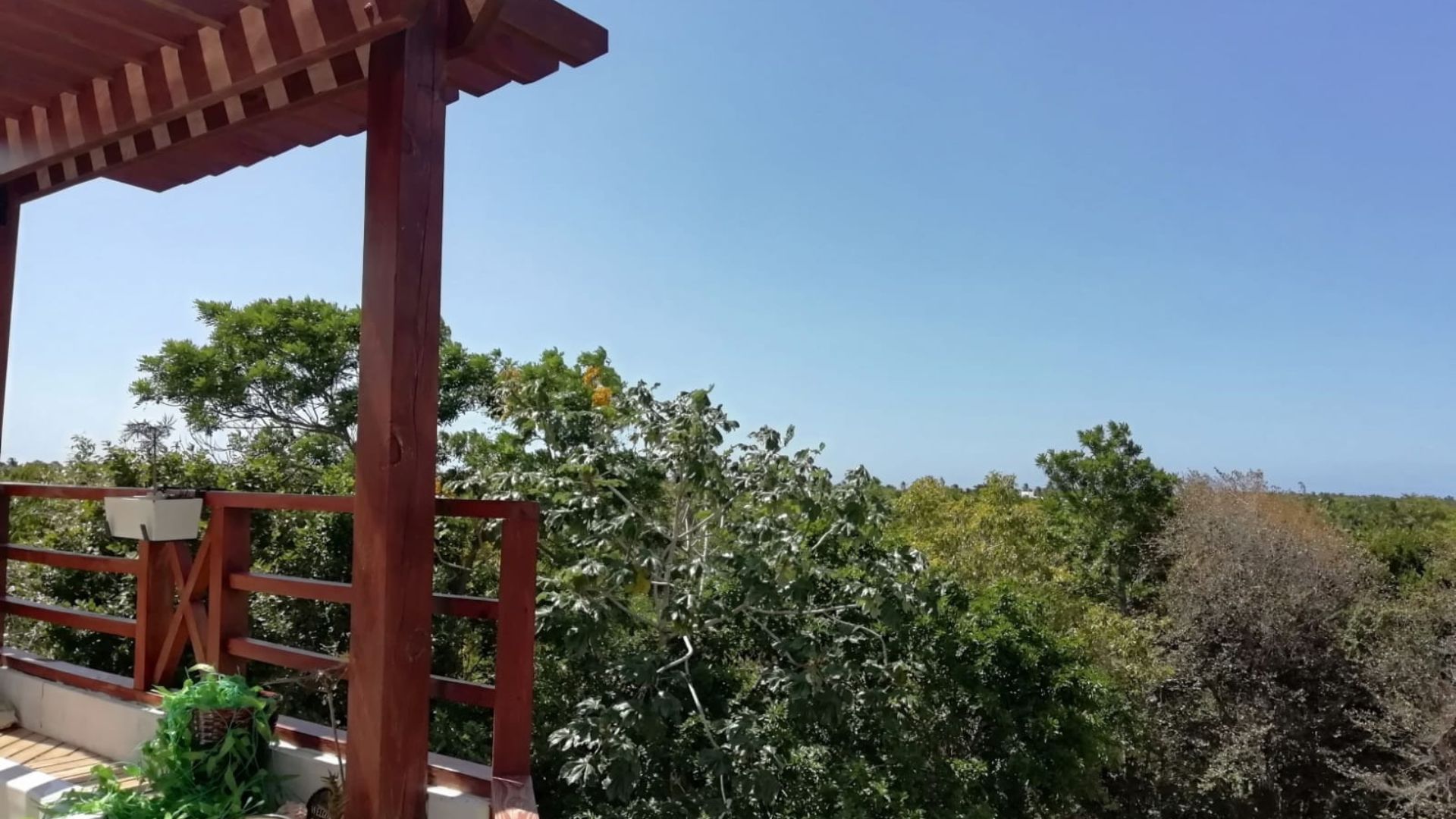Современные апартаменты в джунглях рядом с Coson Beach: 2 спальни, джакузи, сад и доход от аренды