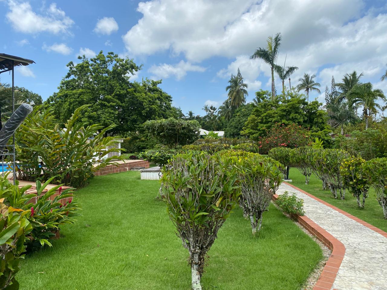 Terrain clôturé à vendre dans un quartier résidentiel avec de magnifiques arbres et fleurs.