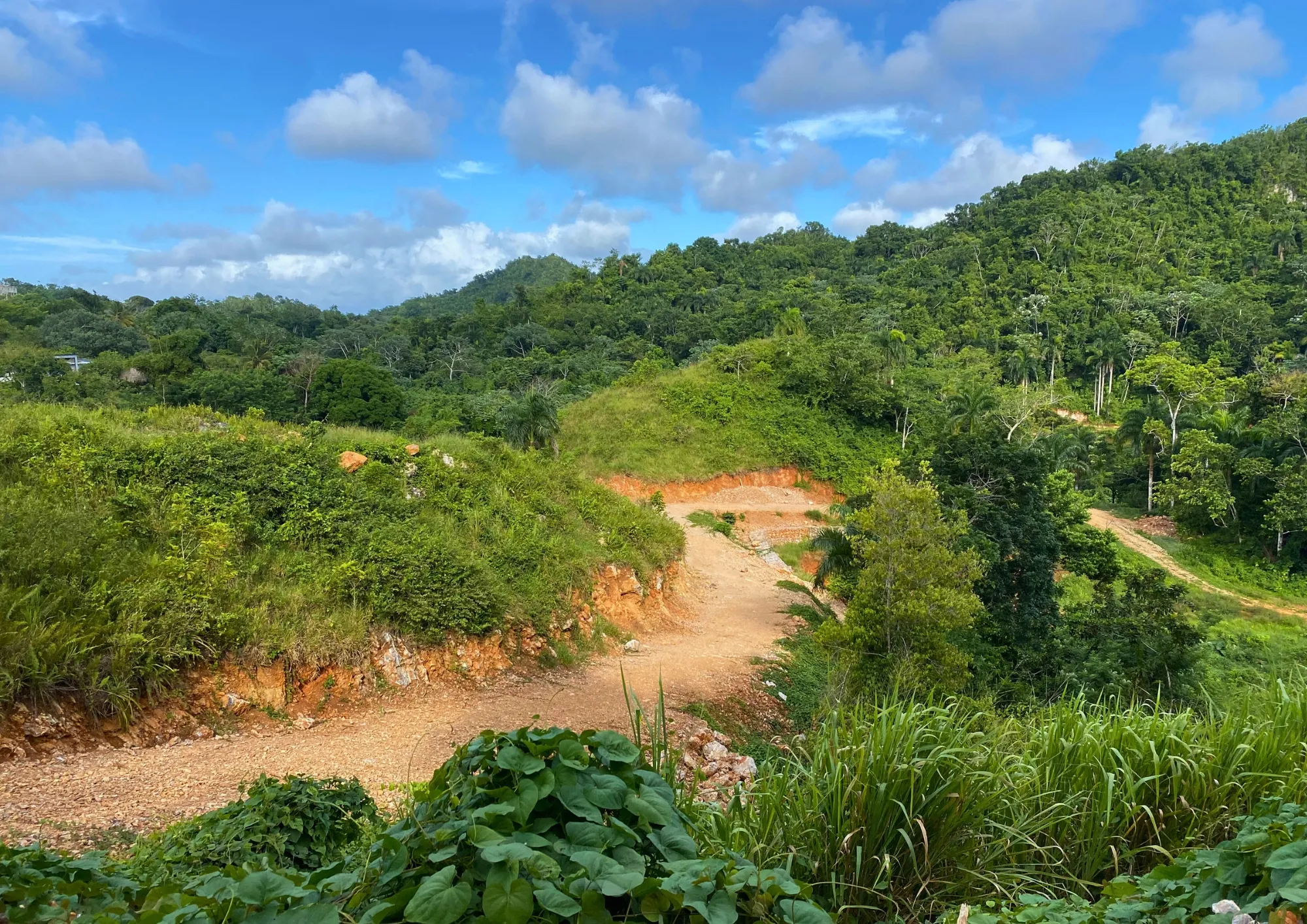 photo of property in dominican republic