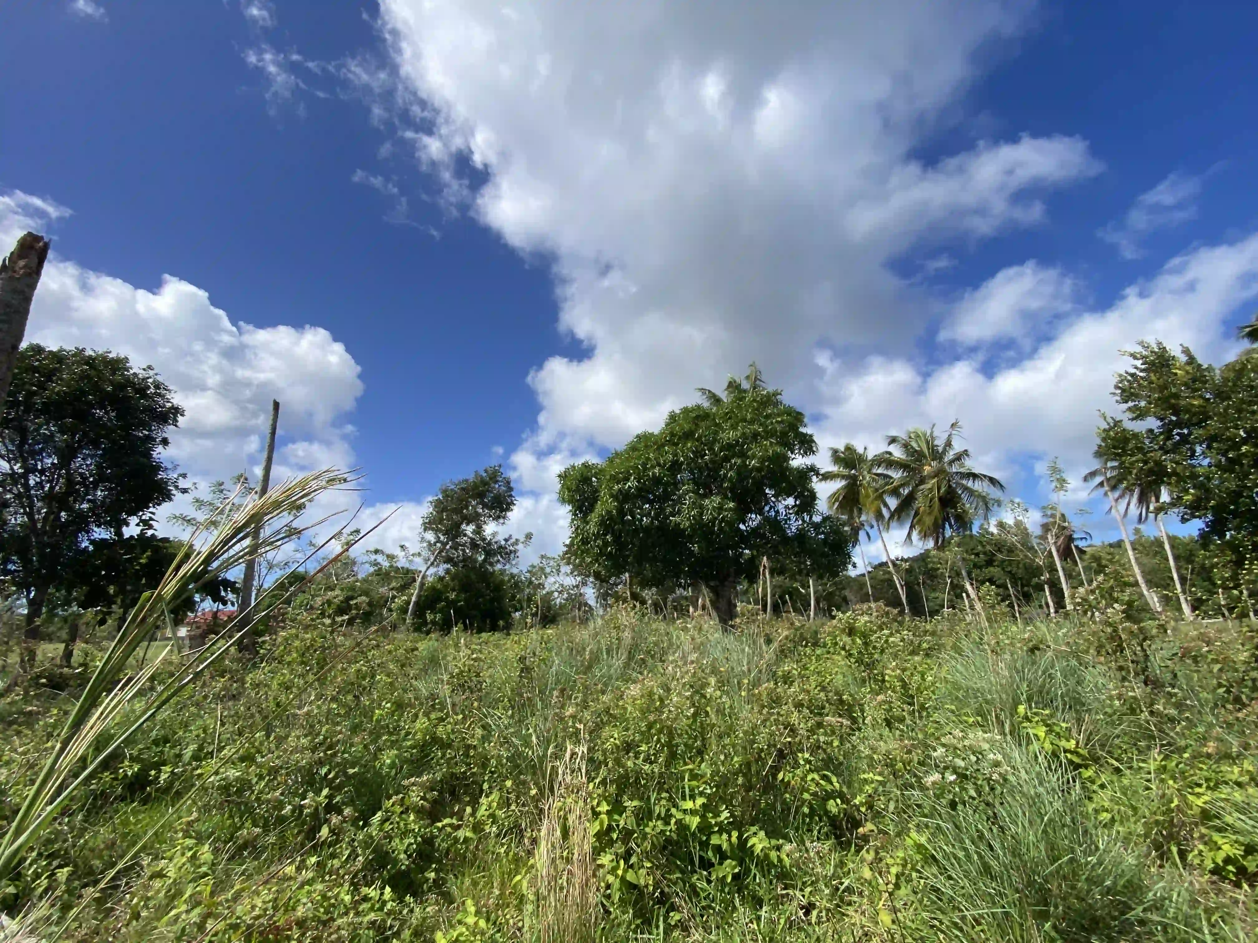 photo of property in dominican republic