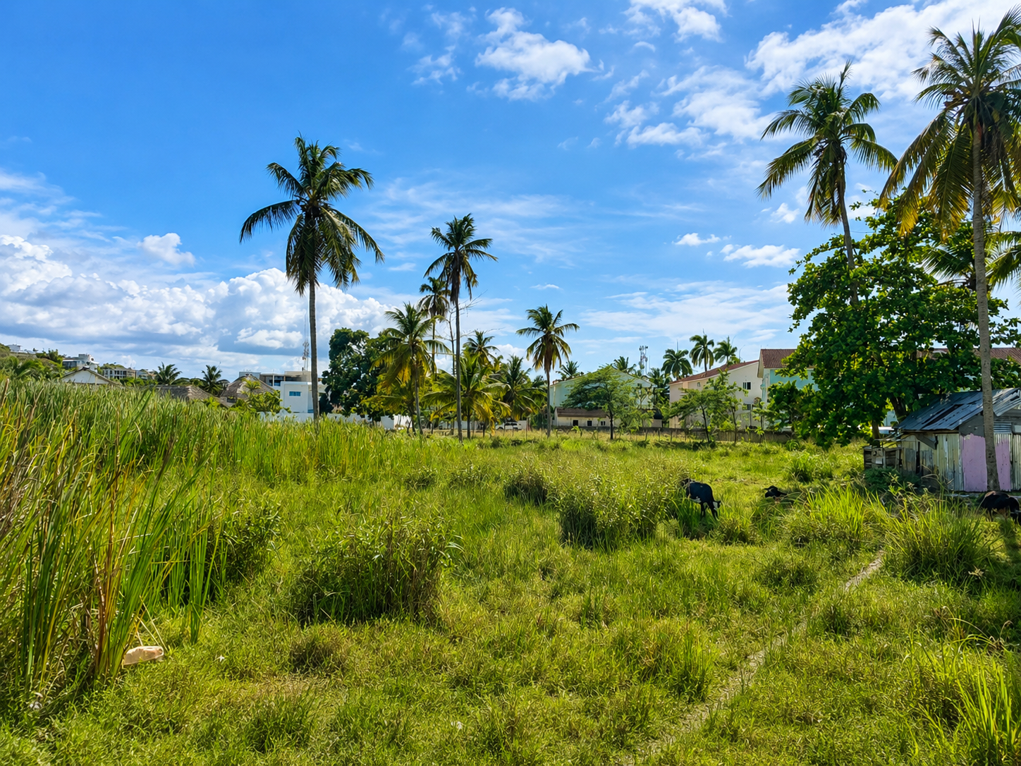 photo of property in dominican republic