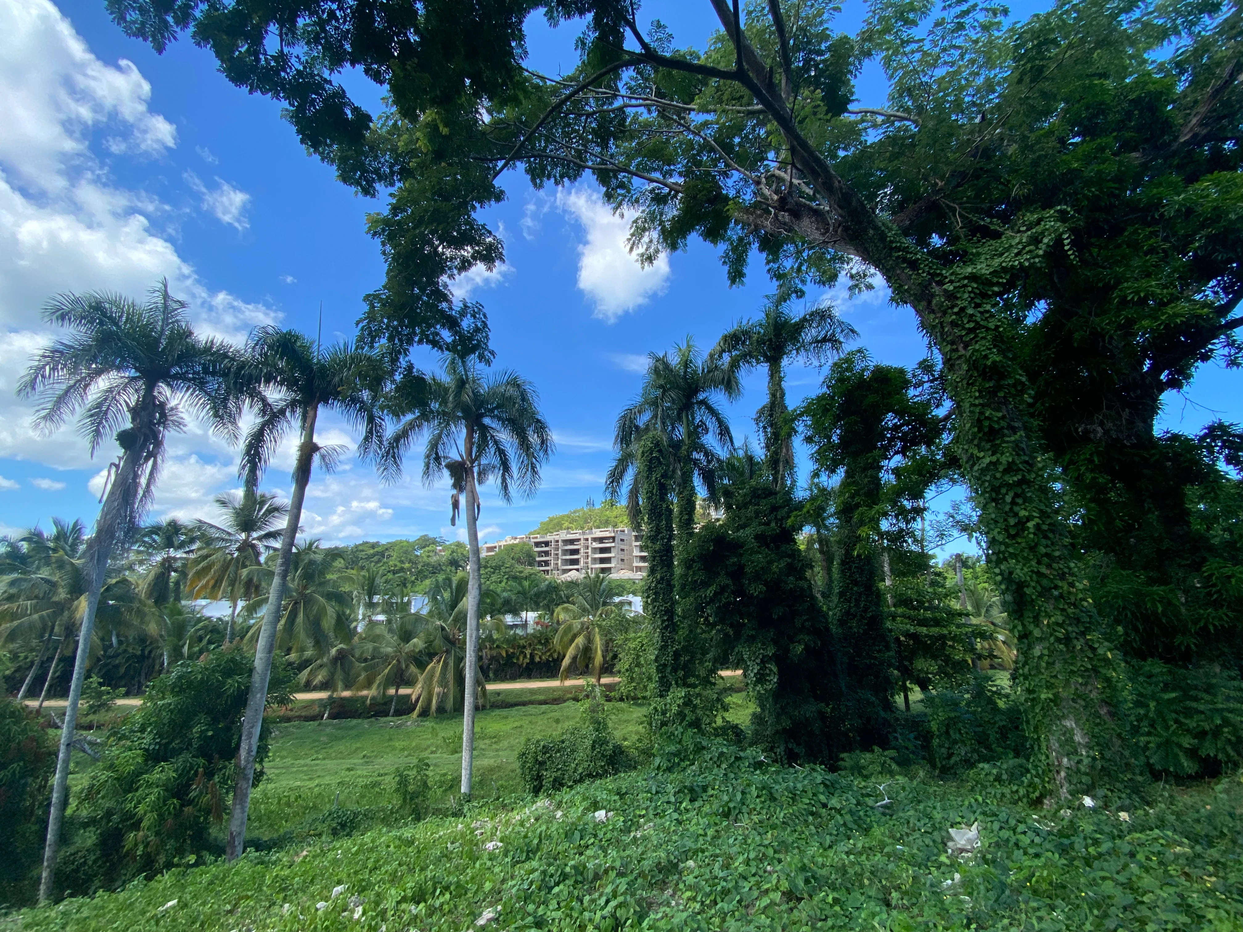 real estate las terrenas
