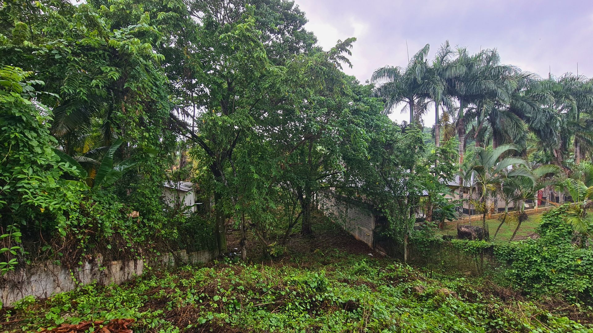 photo of property in dominican republic